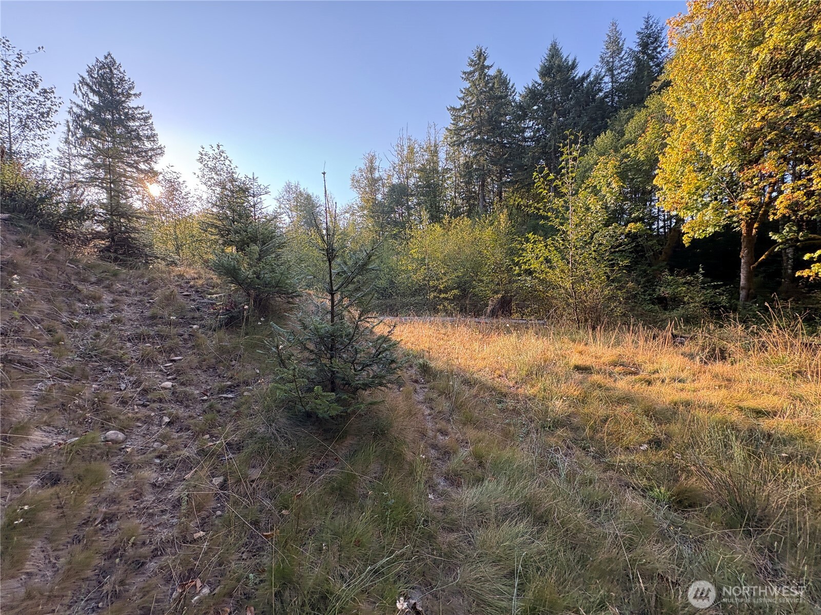 0 Nka Frank Smith Road Property Photo 8