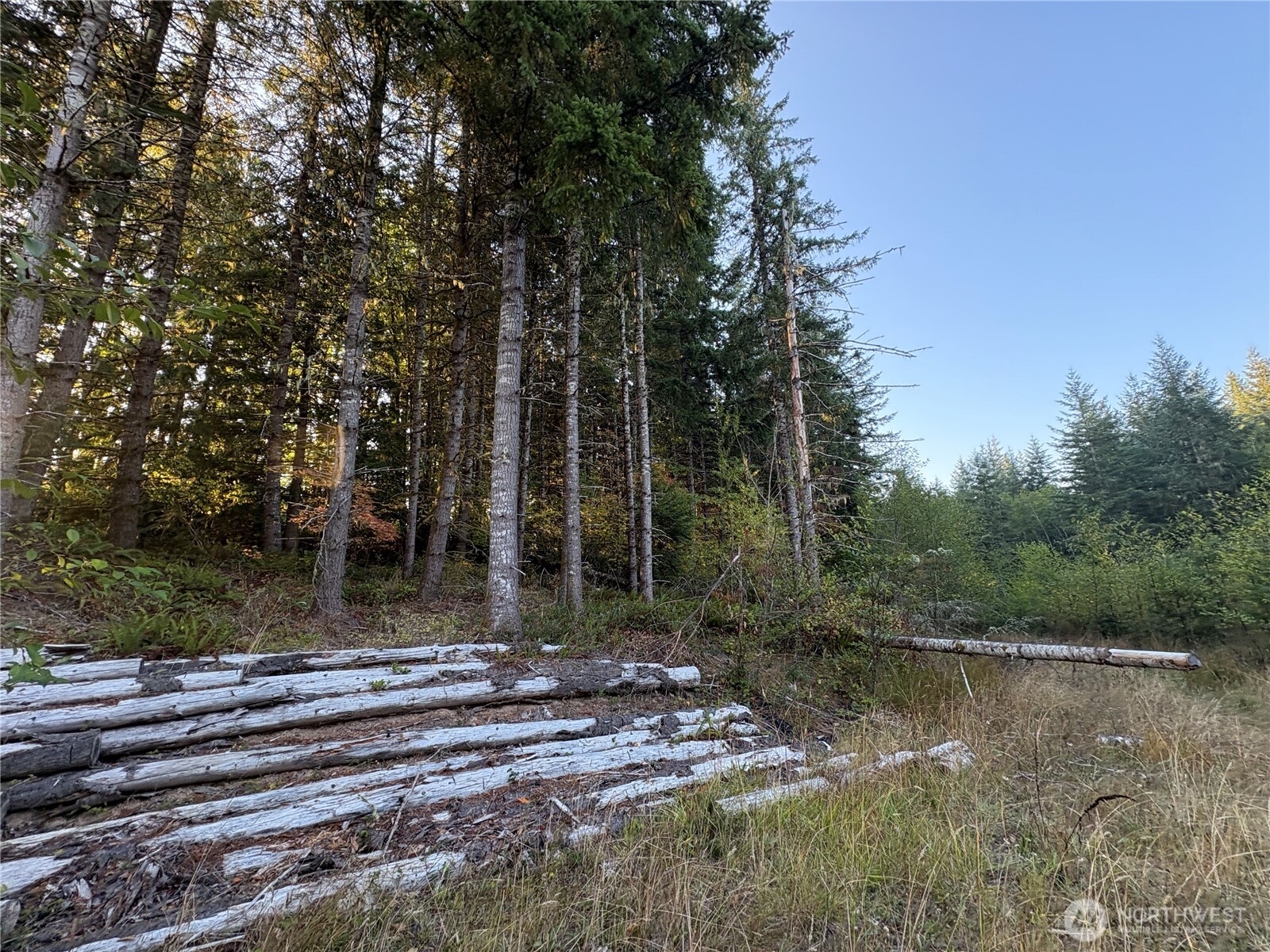 0 Nka Frank Smith Road Property Photo 10