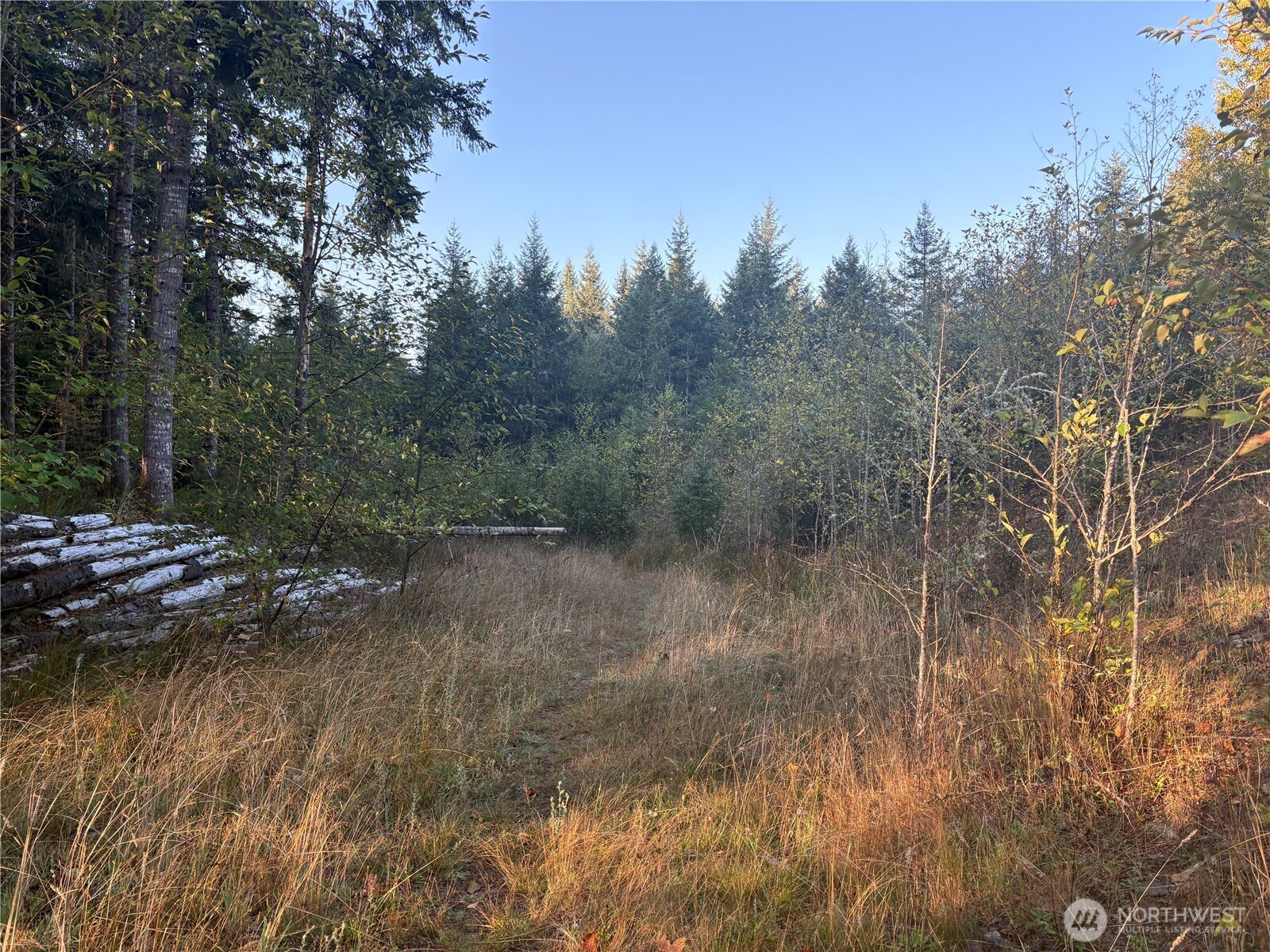 0 Nka Frank Smith Road Property Photo 11