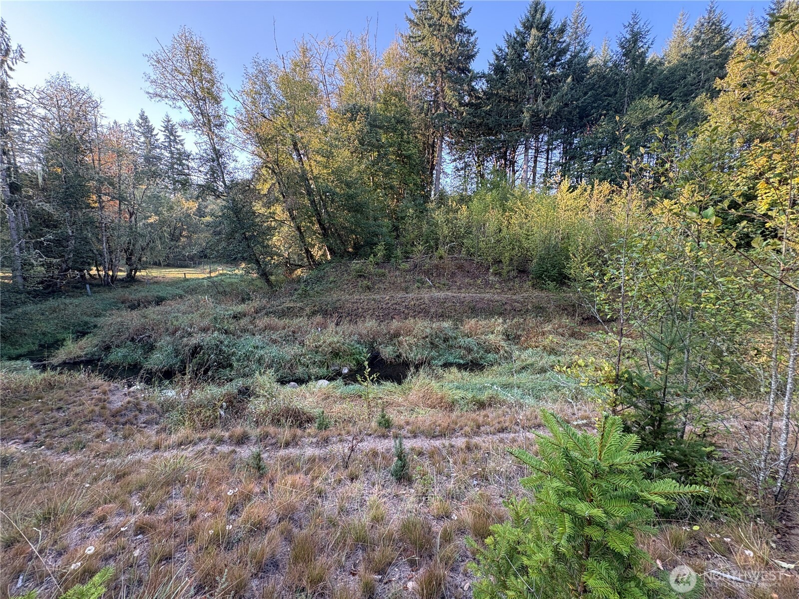 0 Nka Frank Smith Road Property Photo 12