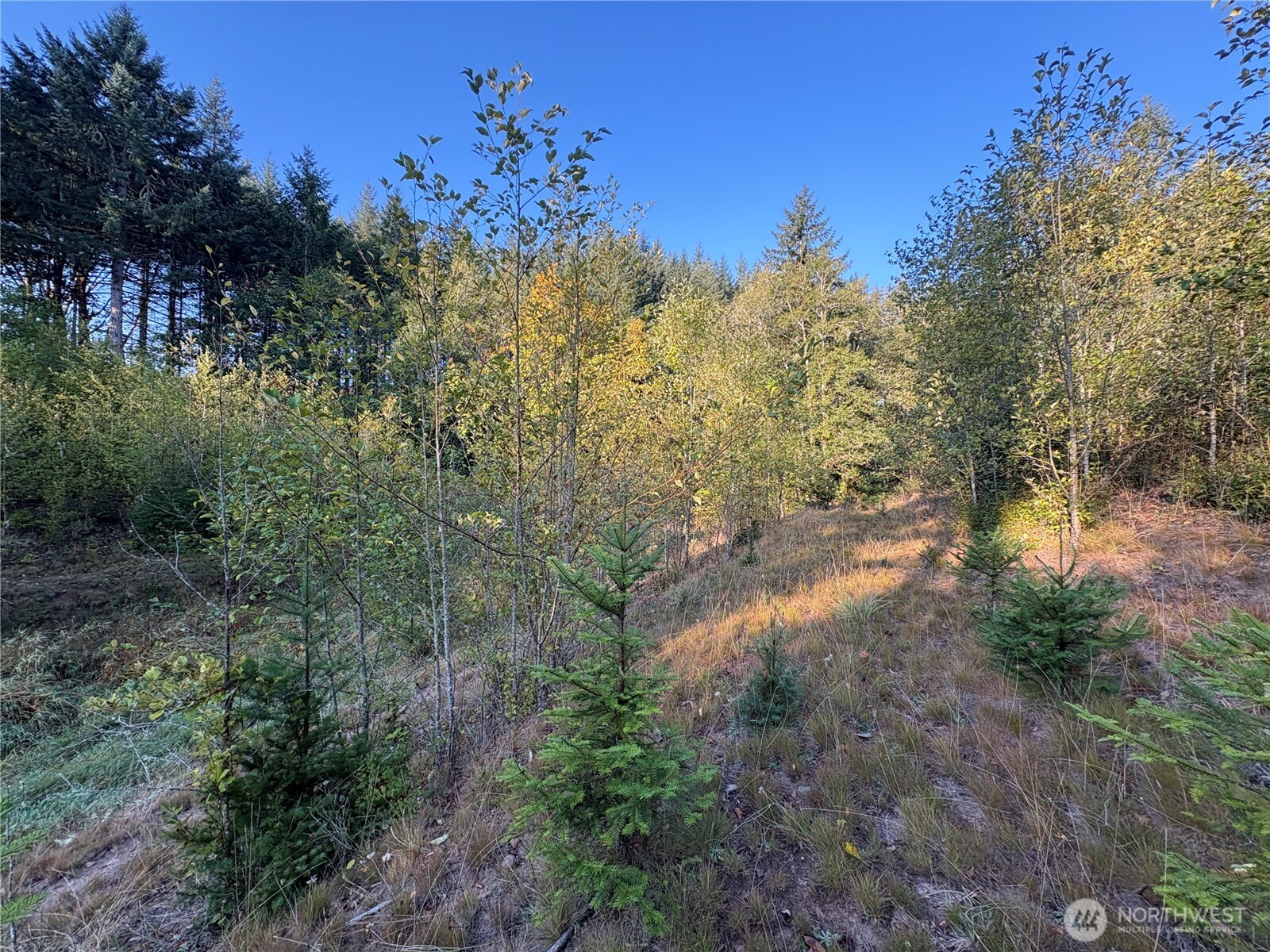 0 Nka Frank Smith Road Property Photo 13