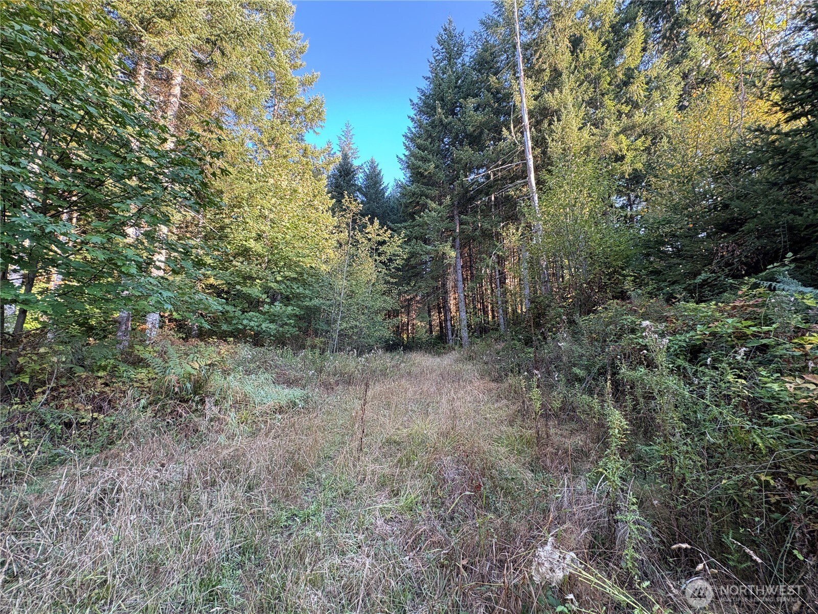 0 Nka Frank Smith Road Property Photo 14