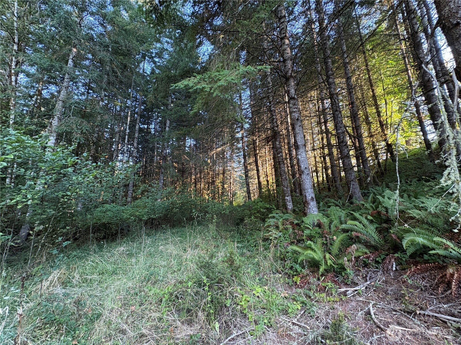 0 Nka Frank Smith Road Property Photo 15