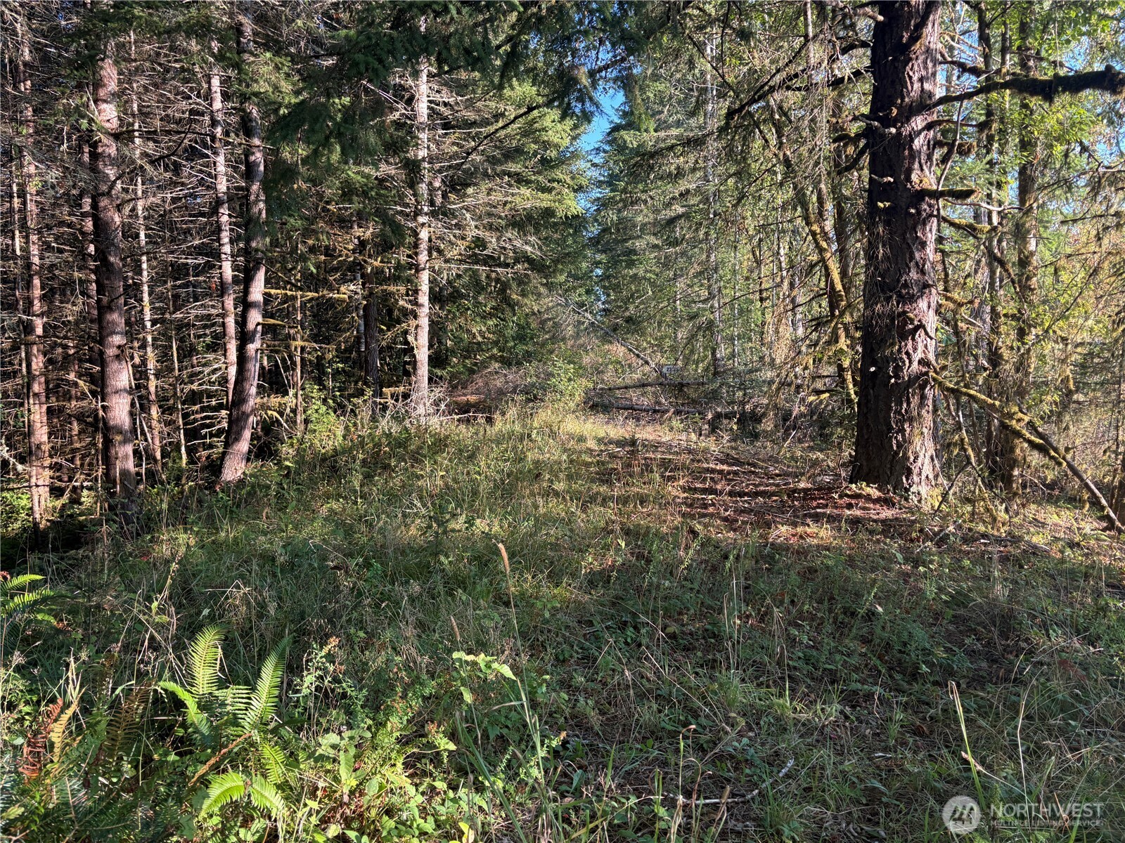 0 Nka Frank Smith Road Property Photo 16