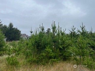 806 318th Place Property Photo 2