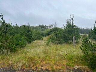 806 318th Place Property Photo 3