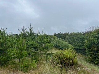 806 318th Place Property Photo 5