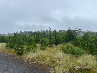 806 318th Place Property Photo 6