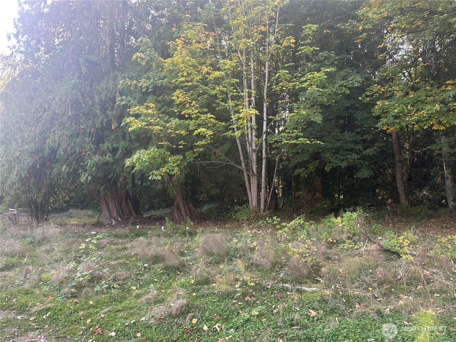 45450 State Route 20 Property Photo 4