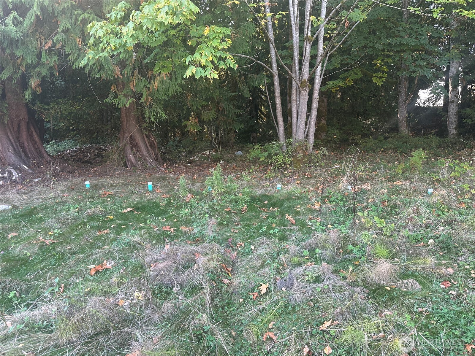 45450 State Route 20 Property Photo 6