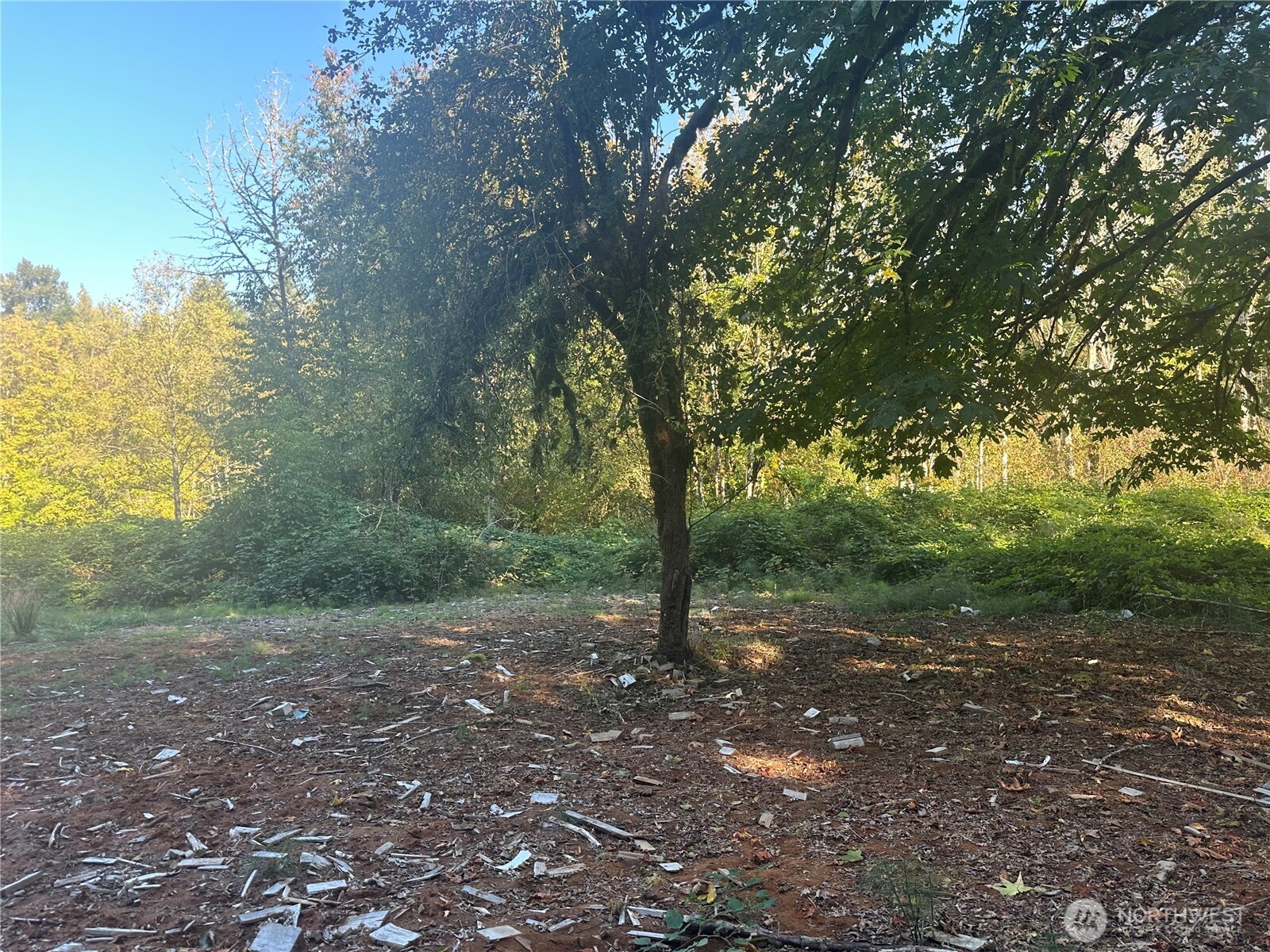 45450 State Route 20 Property Photo 10
