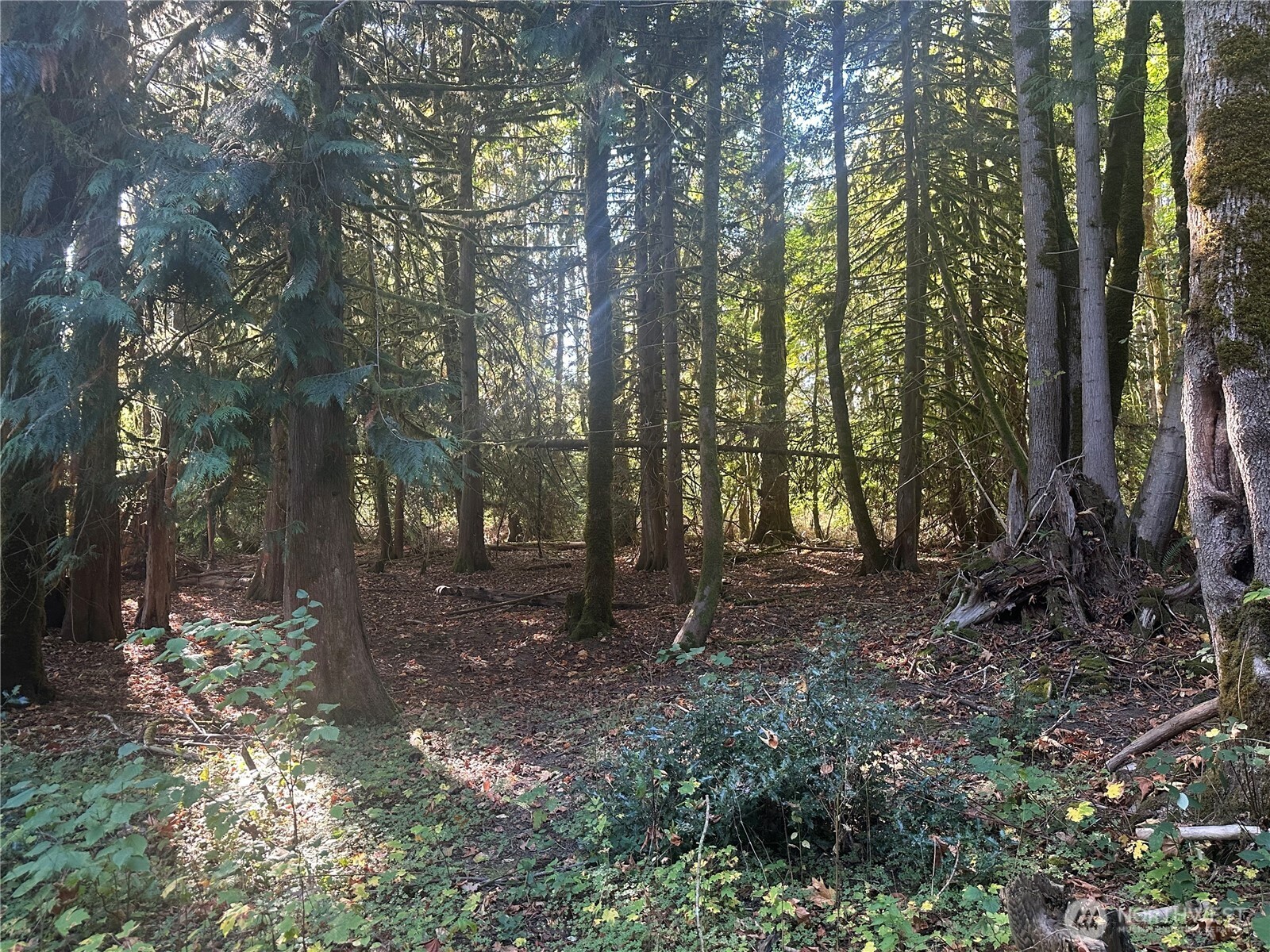45450 State Route 20 Property Photo 11