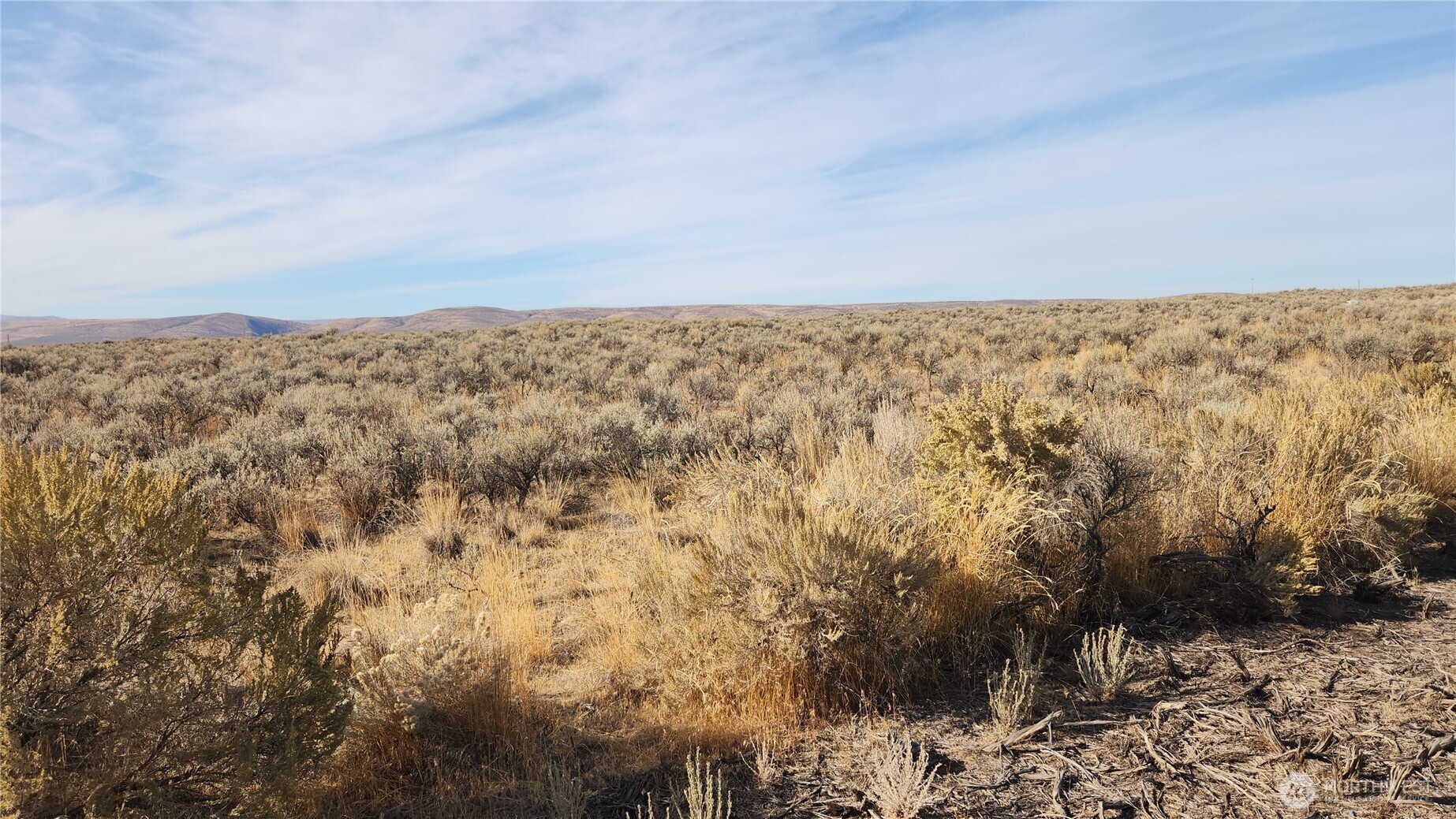 0 E Lot 21 E Coyote Trail Property Photo 2