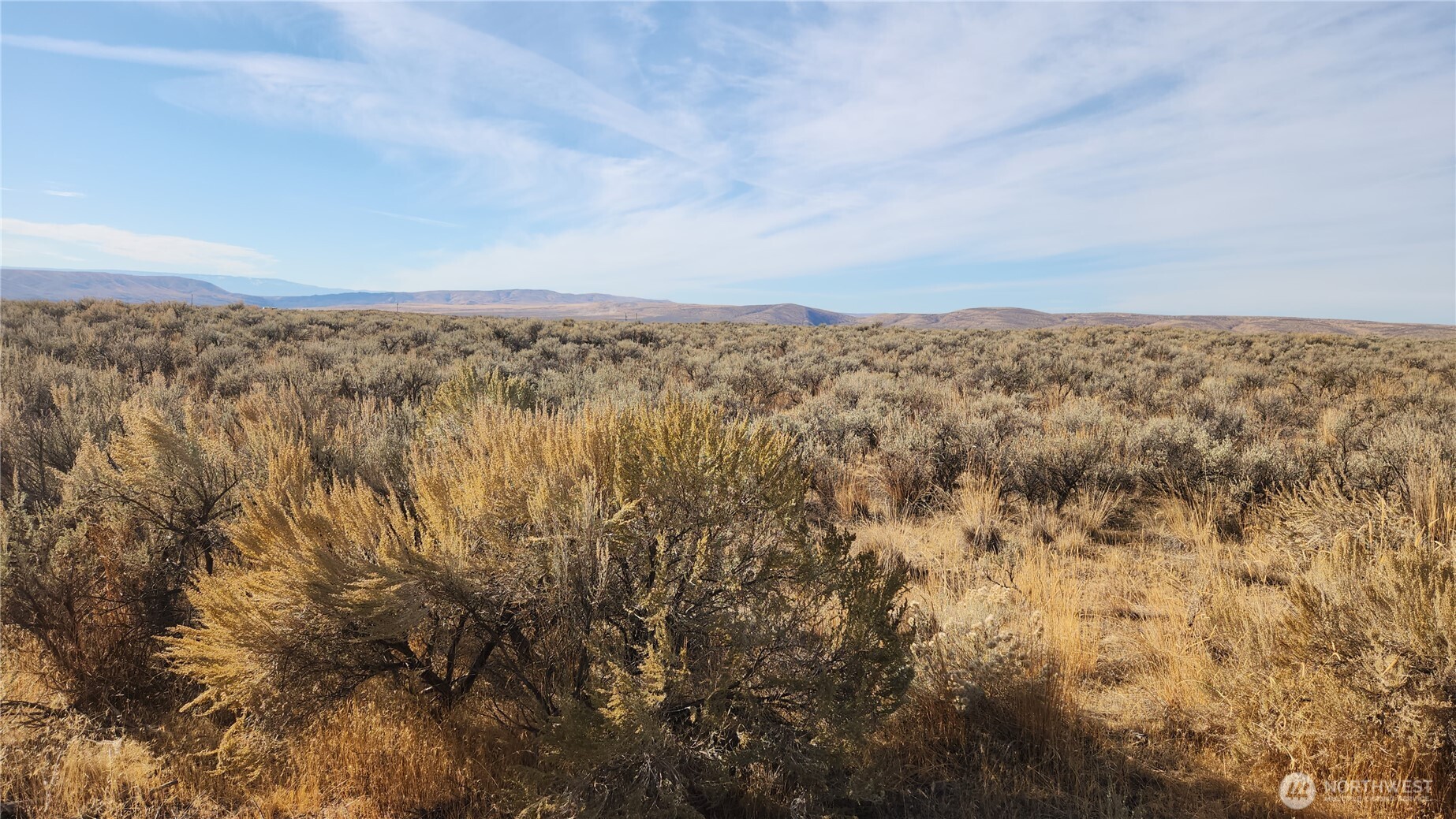 0 E Lot 21 E Coyote Trail Property Photo 3