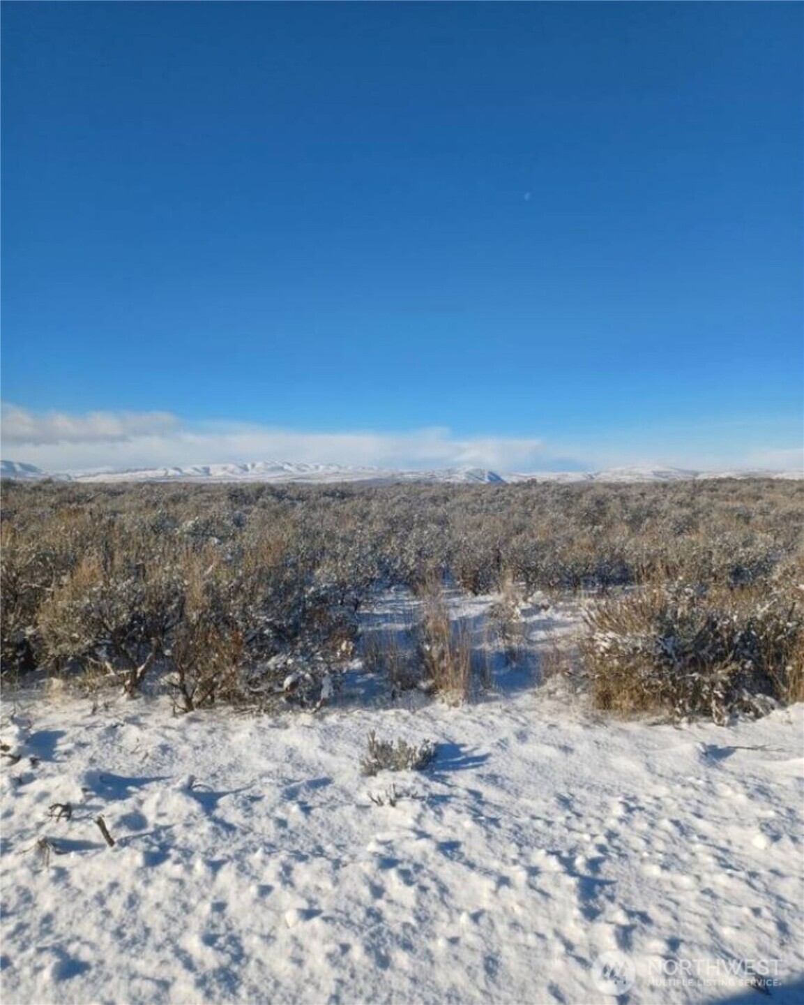 0 E Lot 21 E Coyote Trail Property Photo 4