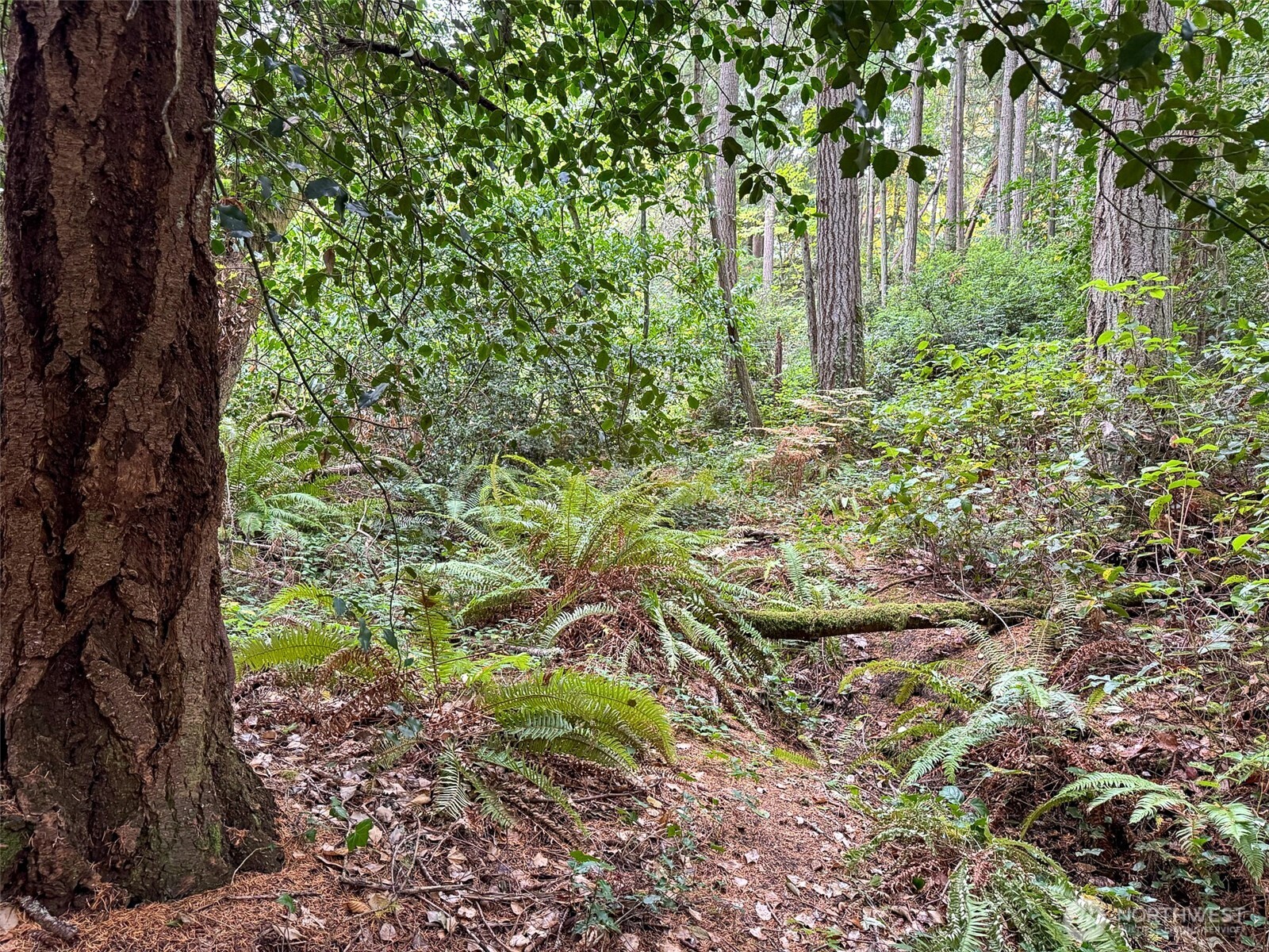 4700 & 4740 Rose Avenue Property Photo 1