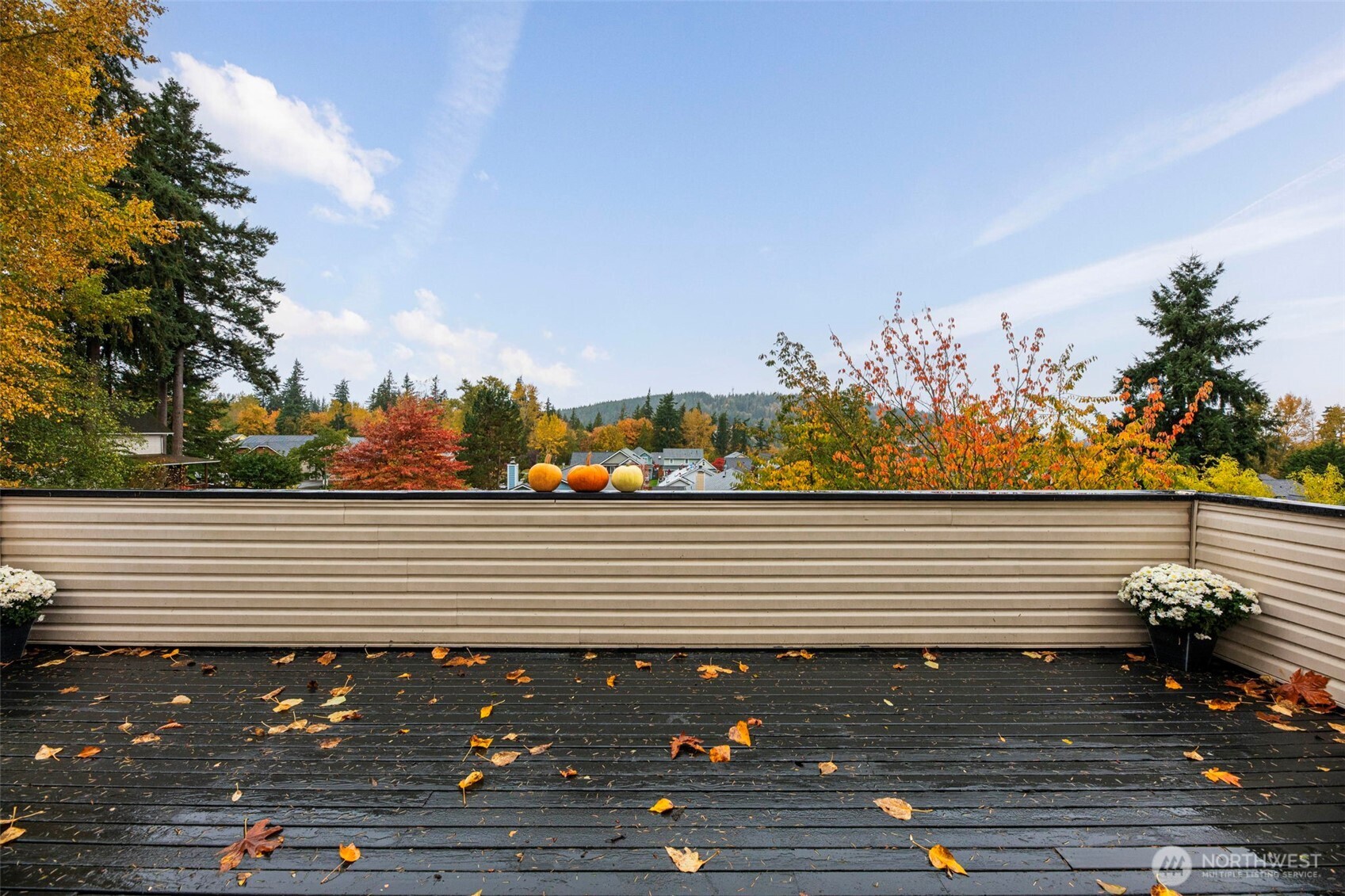 143 S 44th Street Property Photo 18