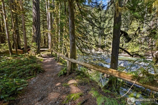 10500 Mt Baker Hwy 704 Property Photo 32