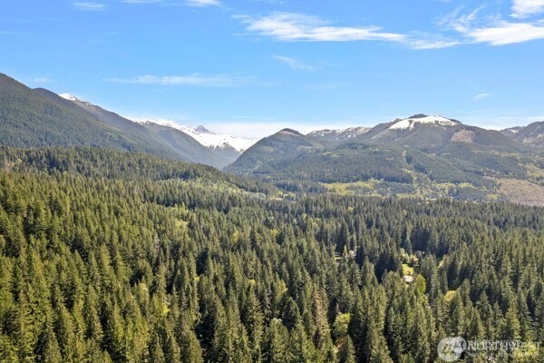 10500 Mt Baker Hwy 704 Property Photo 39