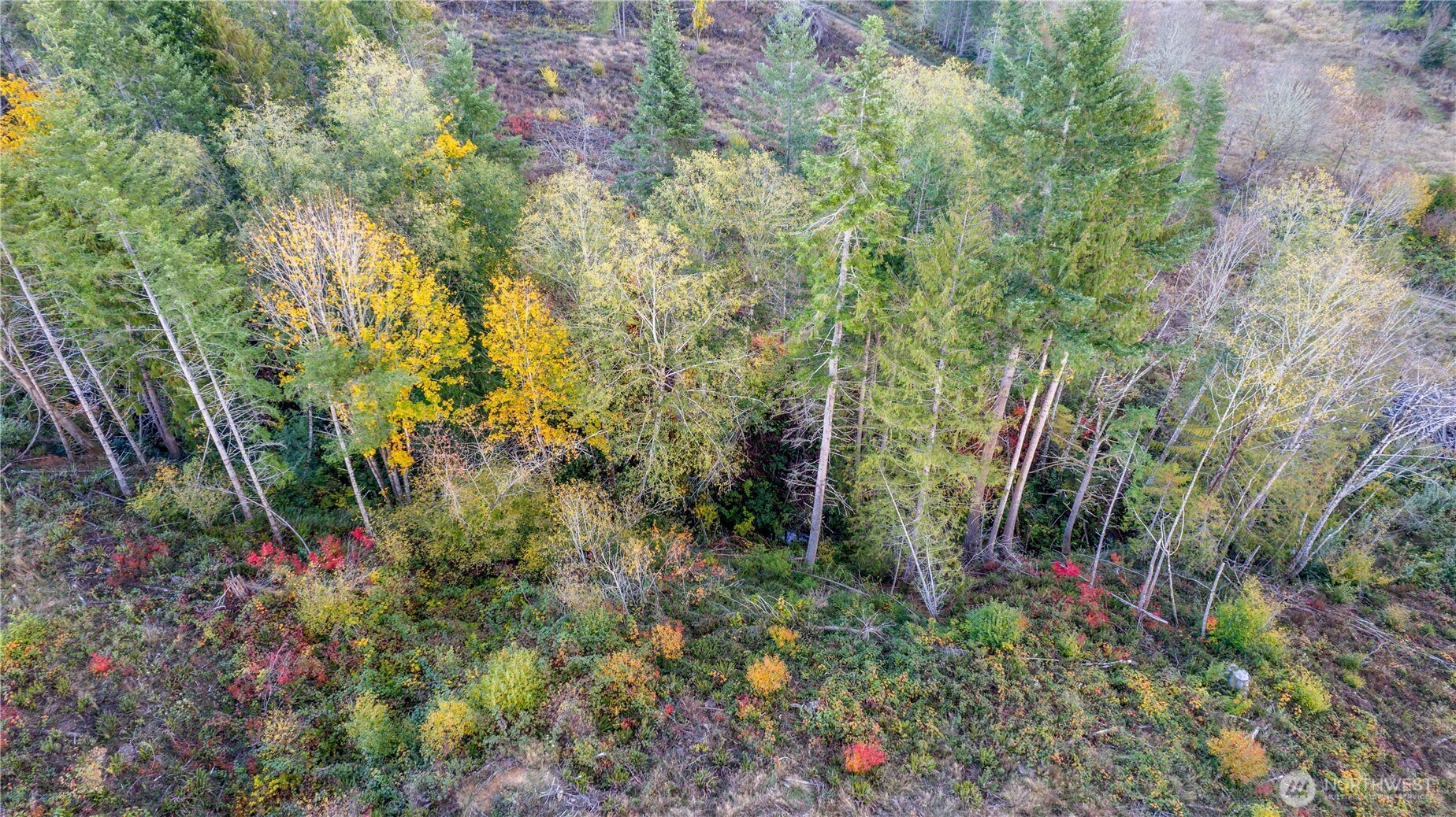 17942 Northcraft Road Property Photo 13