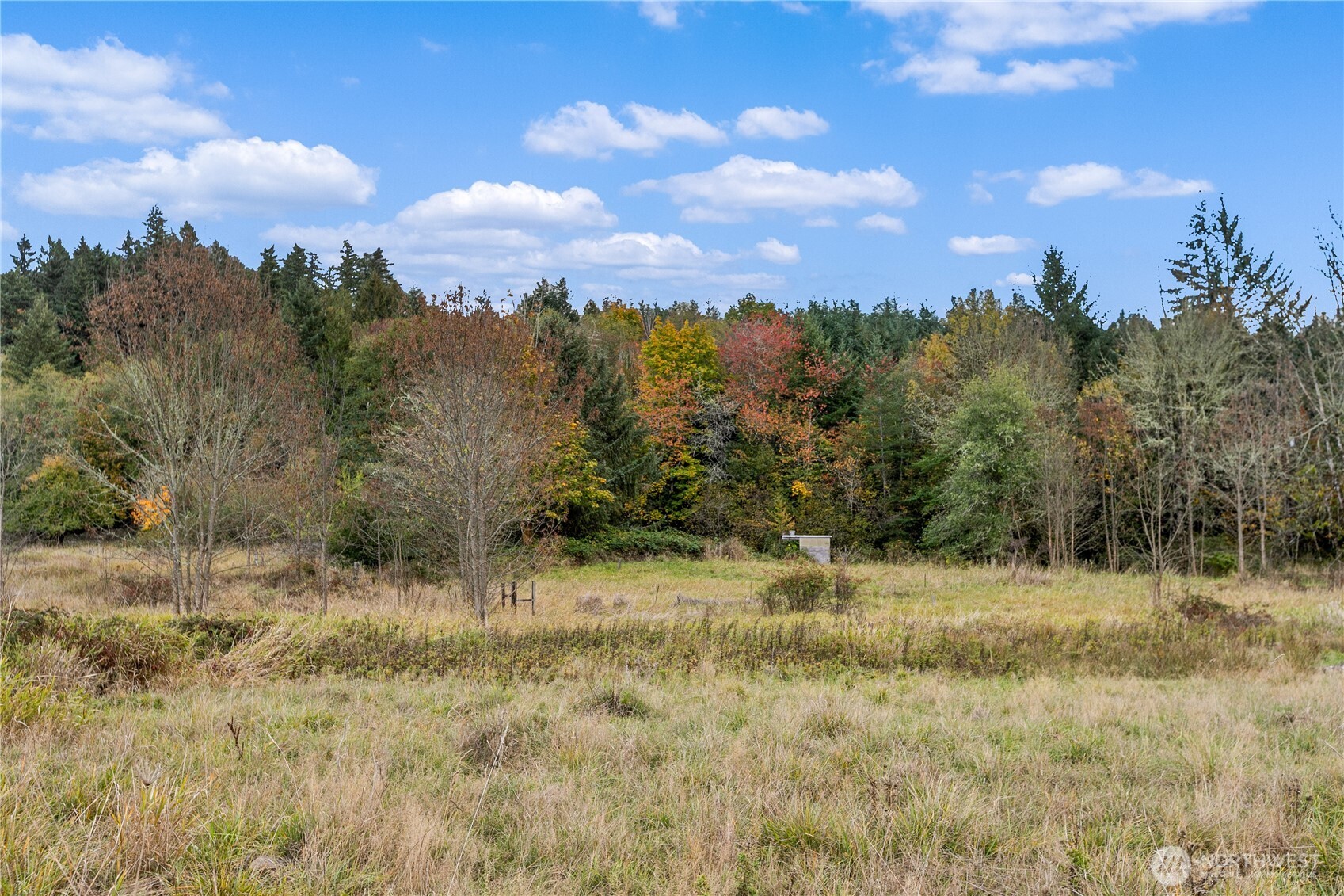 17942 Northcraft Road Property Photo 19