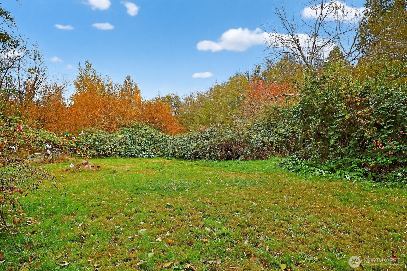 11941 Schold Road Property Photo 27