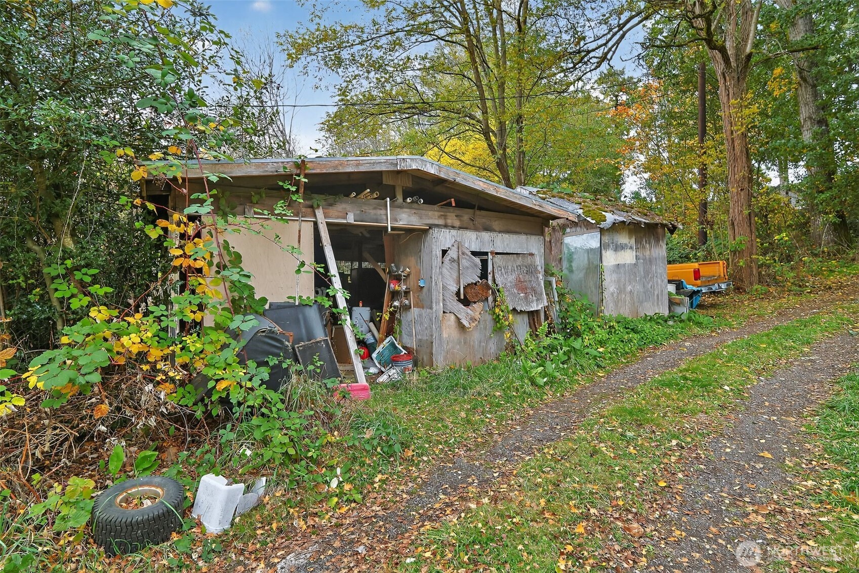 11941 Schold Road Property Photo 32