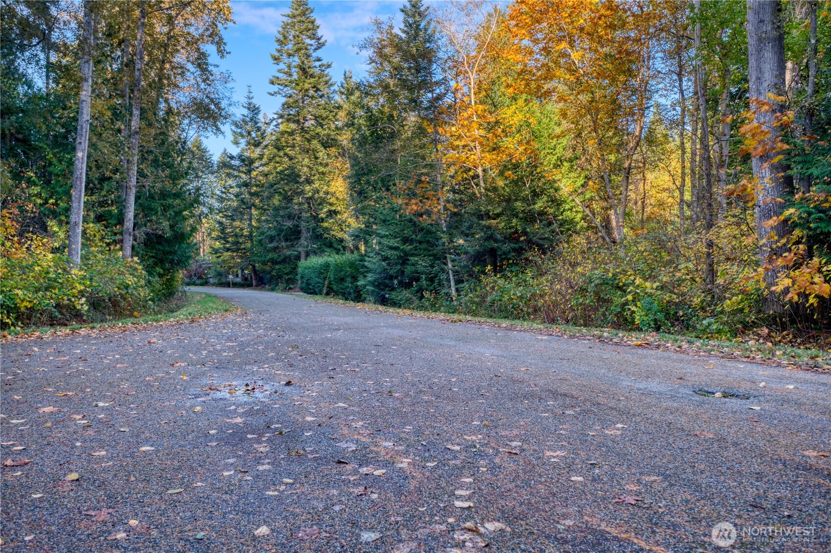 6 Weasel Run Property Photo 2