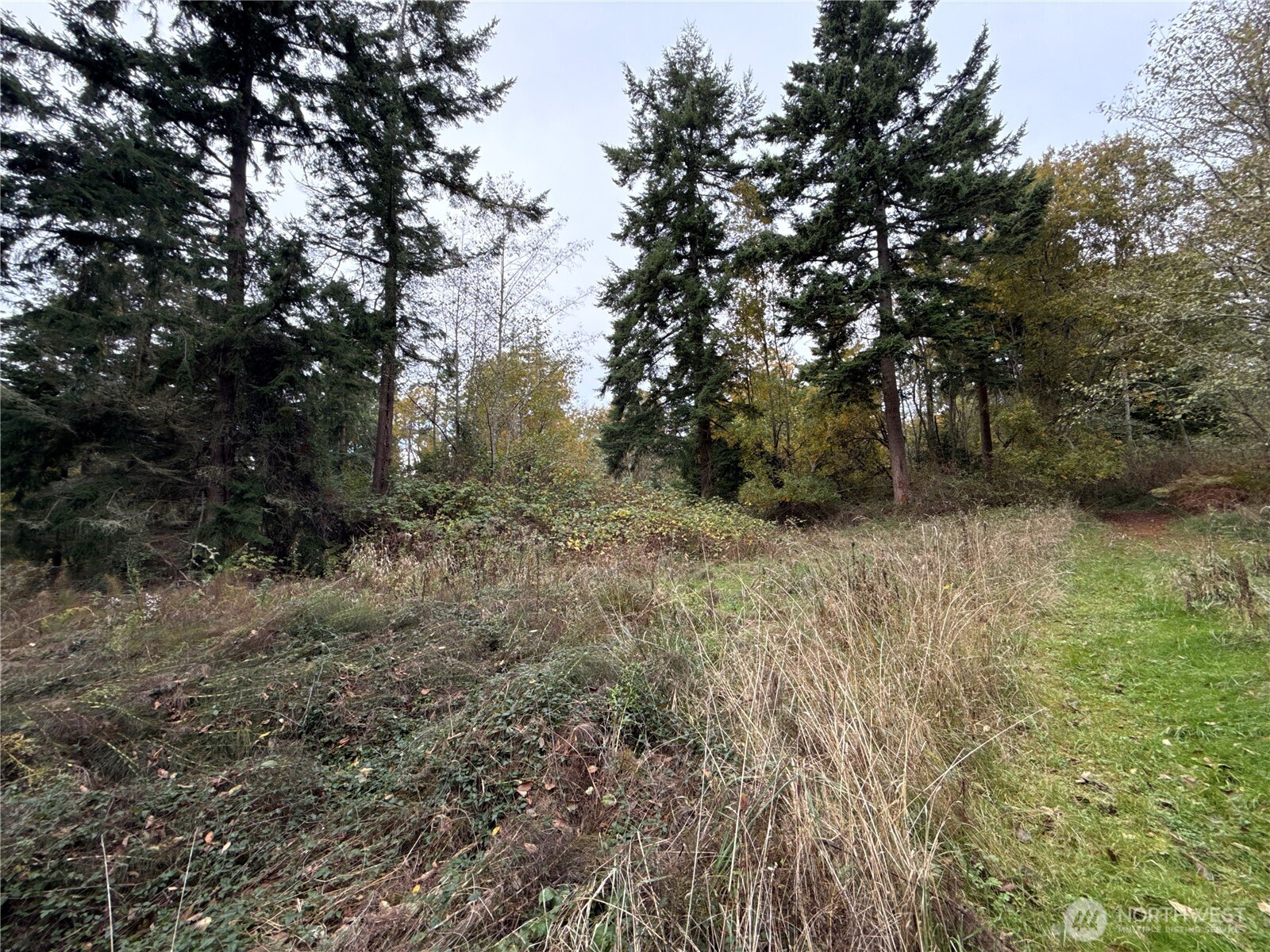 29922 Sr 525 Property Photo 27