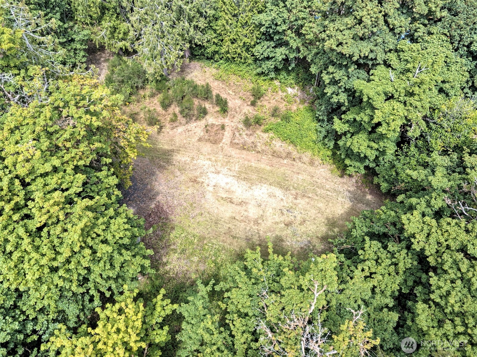 434 E Dalby Road Property Photo 3