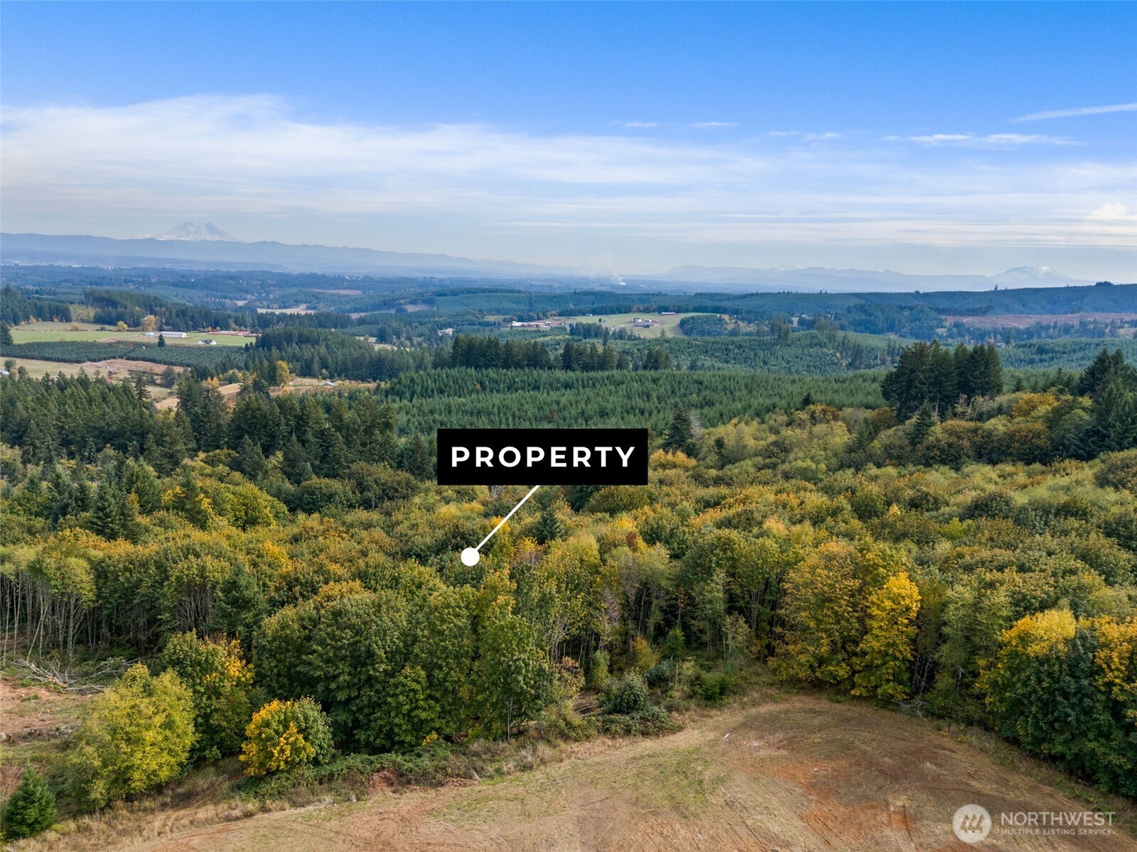 251 48 Crego Hill Road Property Photo 8