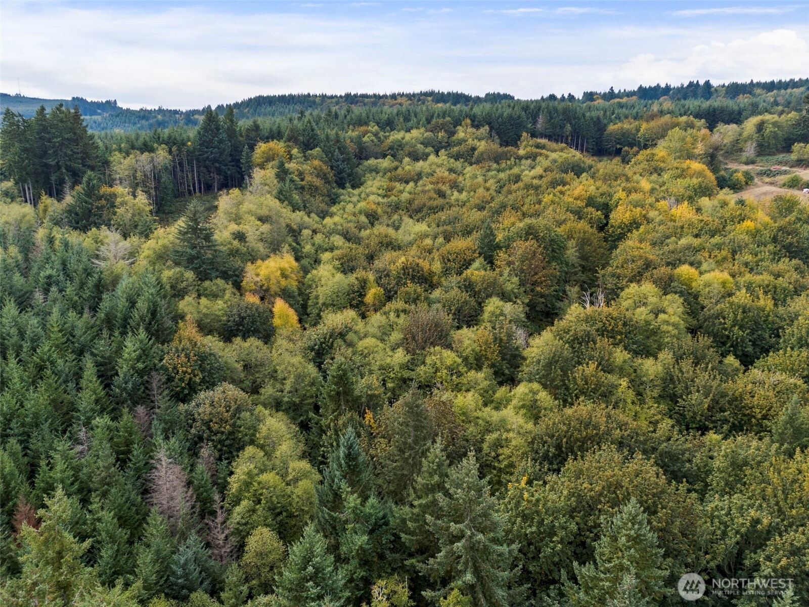 251 62 Crego Hill Road Property Photo 9