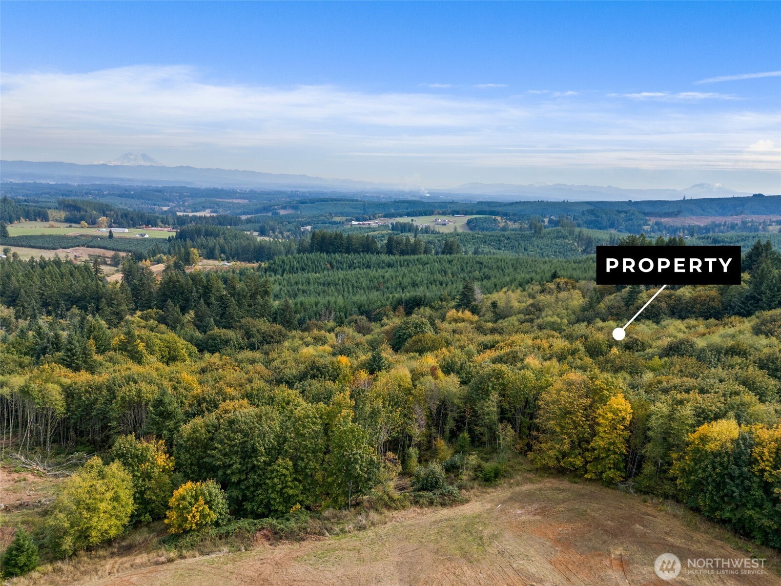 251 62 Crego Hill Road Property Photo 10