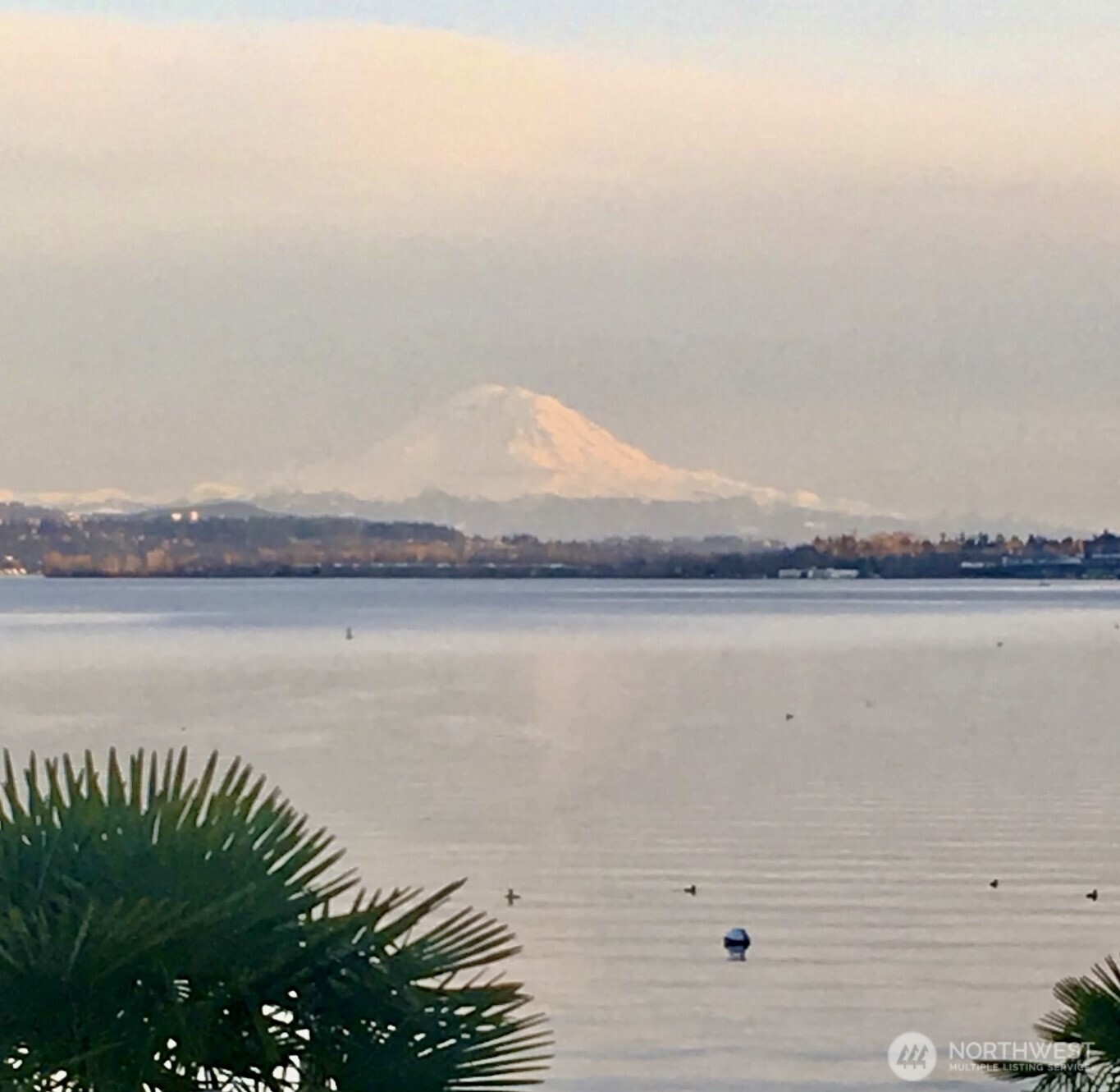 14026 Riviera Place Property Photo 40