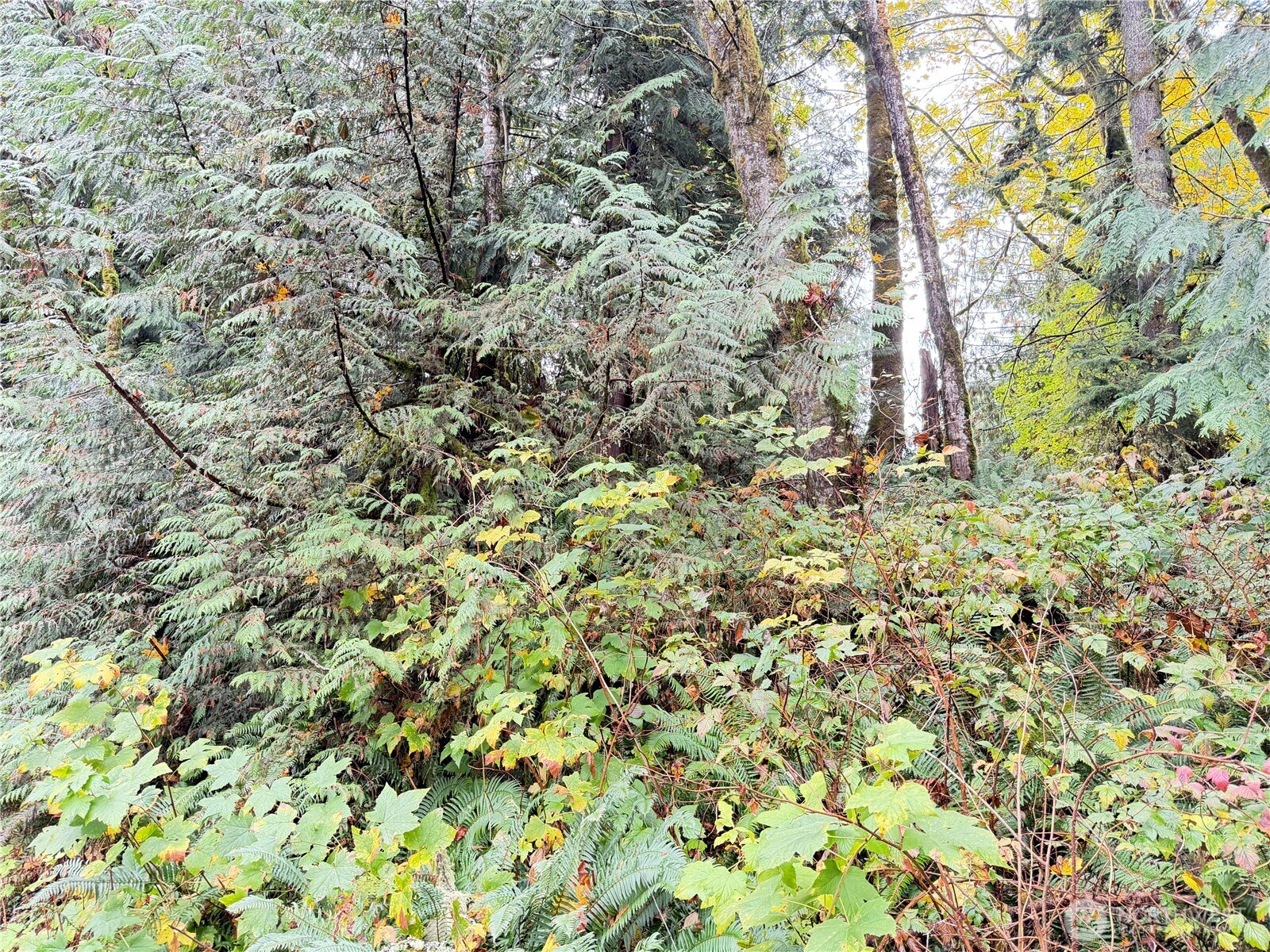 1 W Alder Drive Property Photo 2
