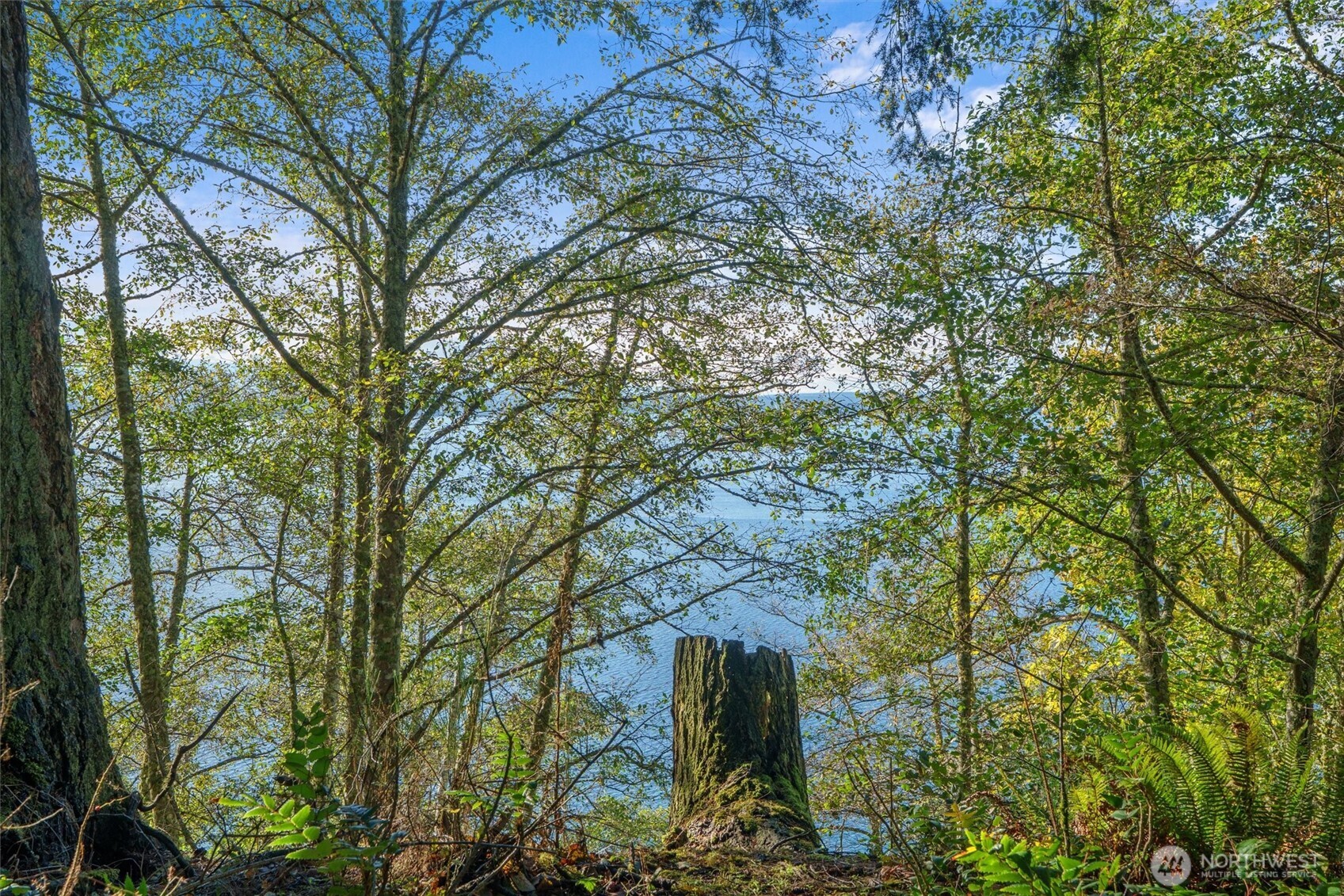 4530 Smugglers Cove Rd Road Property Photo 8