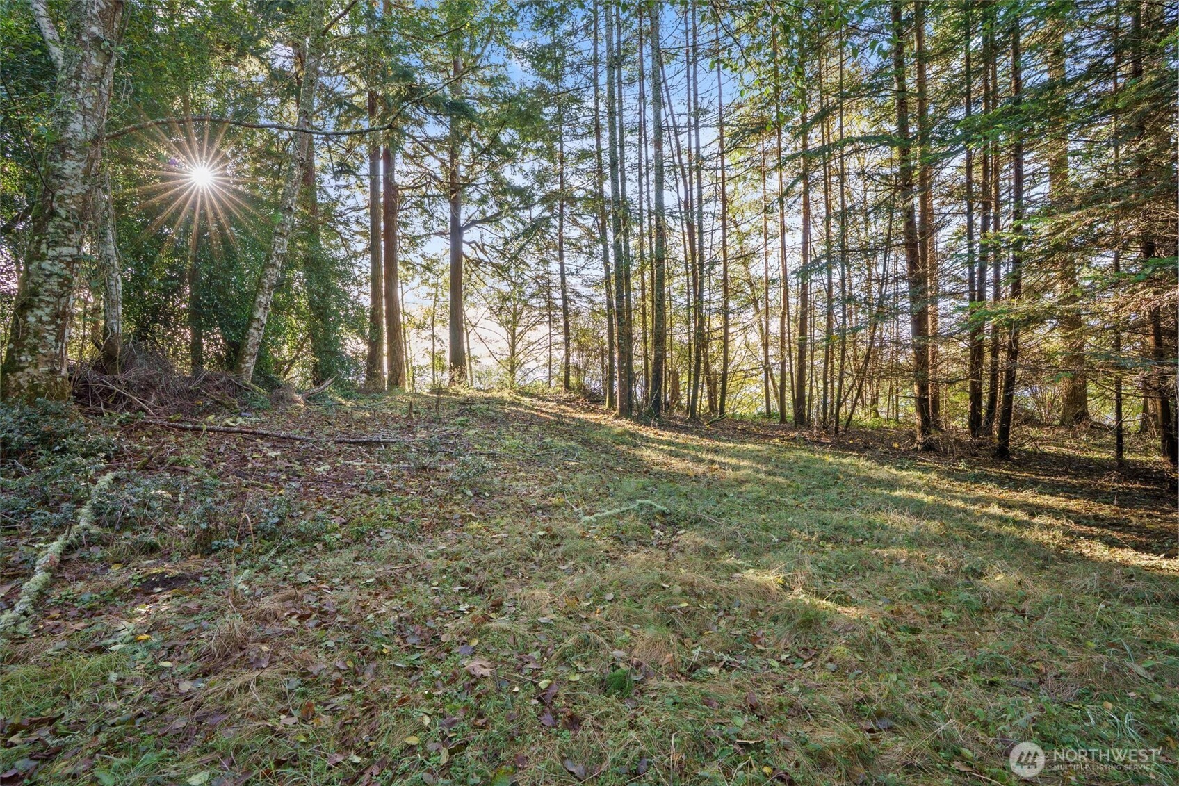 4530 Smugglers Cove Rd Road Property Photo 9
