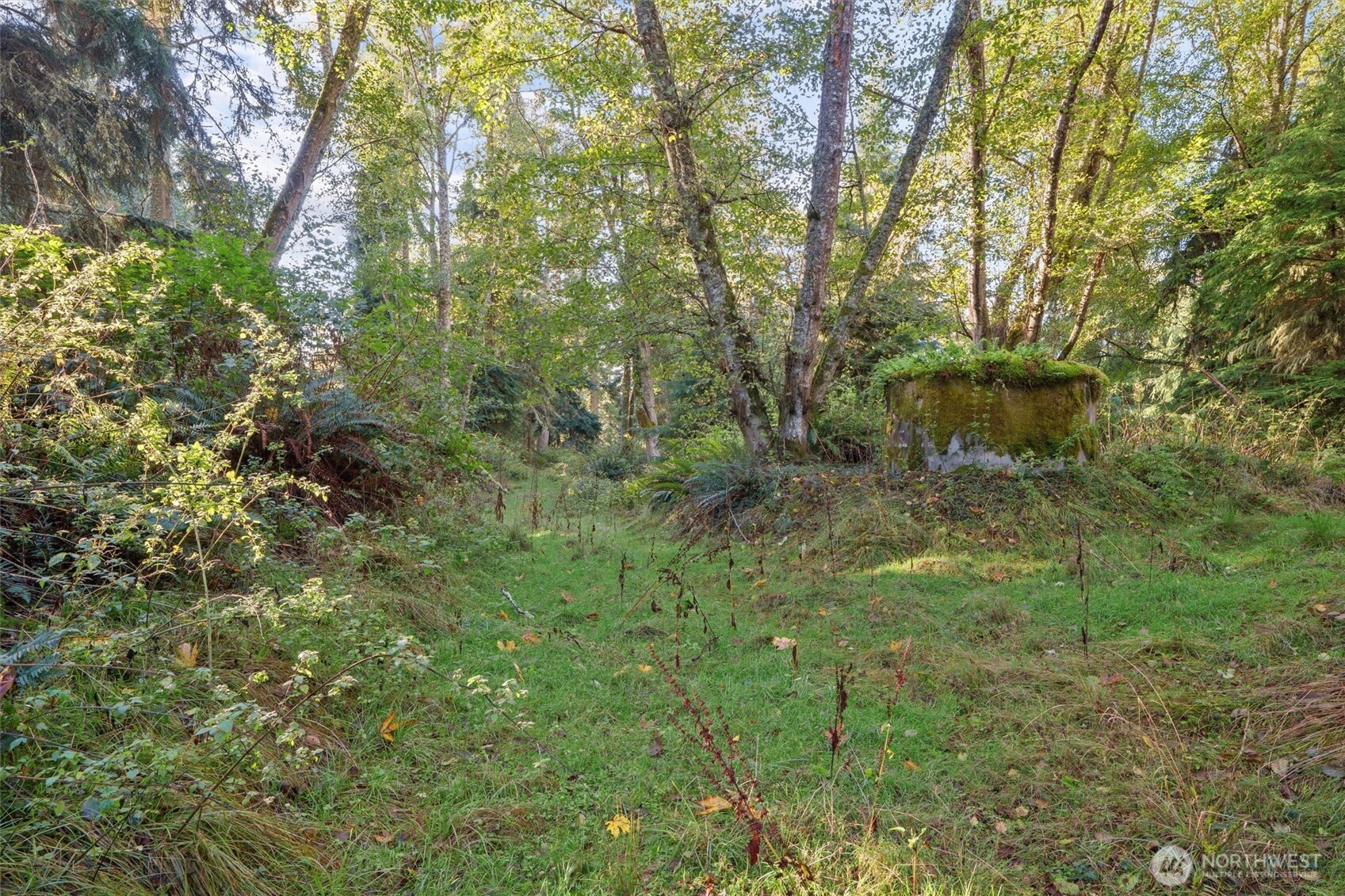 4530 Smugglers Cove Rd Road Property Photo 12