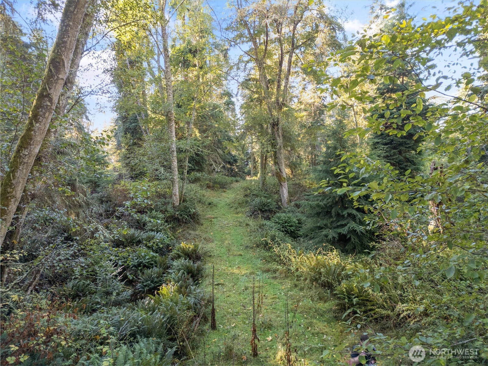 4530 Smugglers Cove Rd Road Property Photo 15