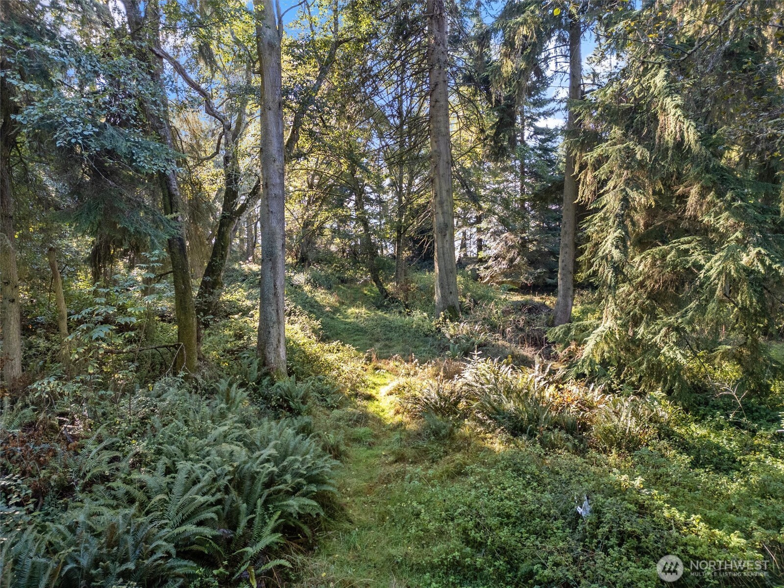 4530 Smugglers Cove Rd Road Property Photo 16