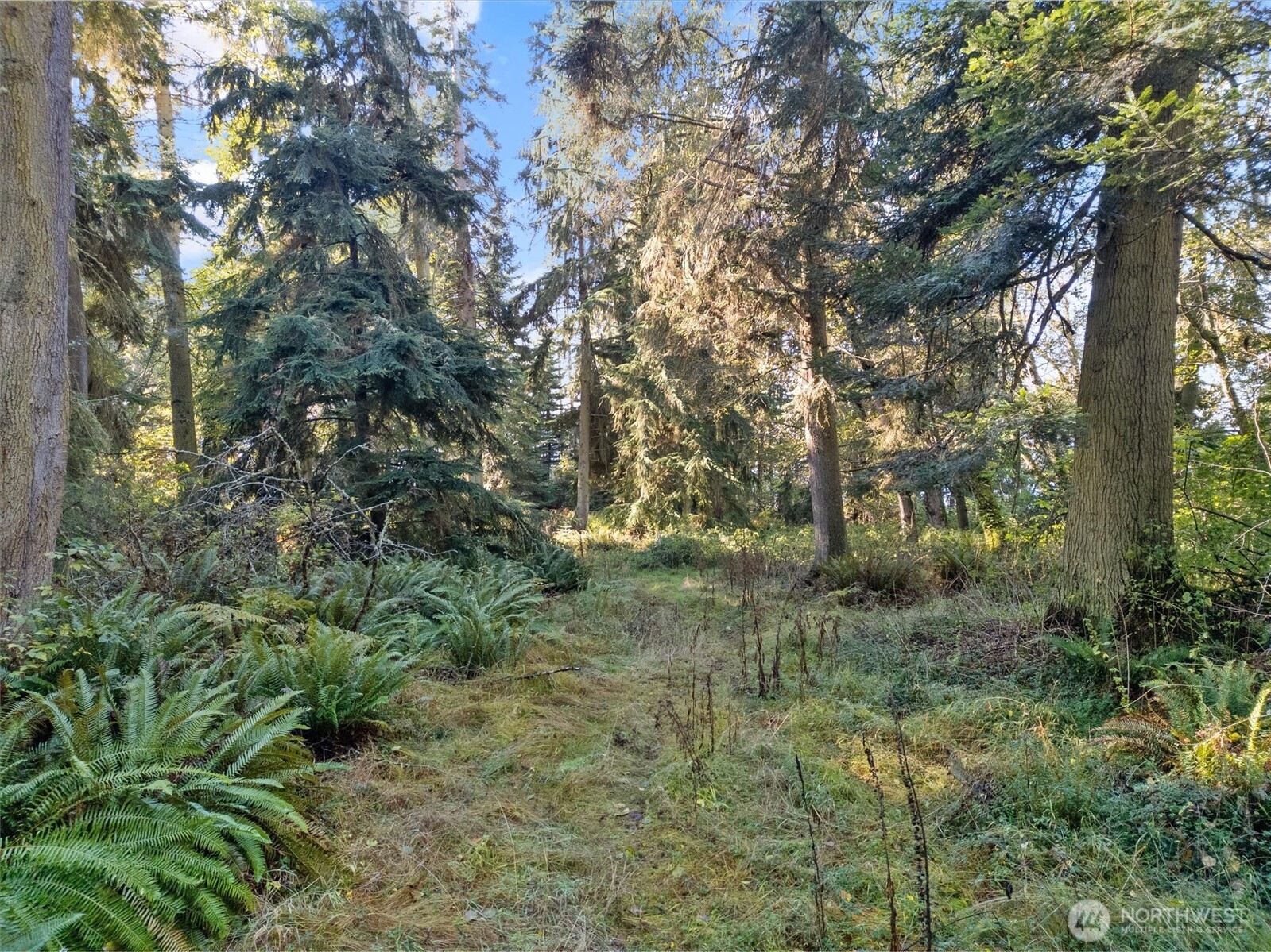 4530 Smugglers Cove Rd Road Property Photo 17