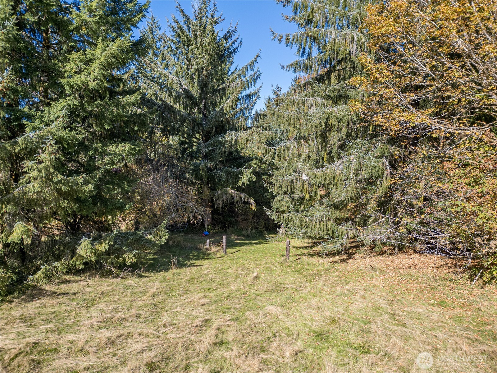 2095 Bear Creek Road Property Photo 37