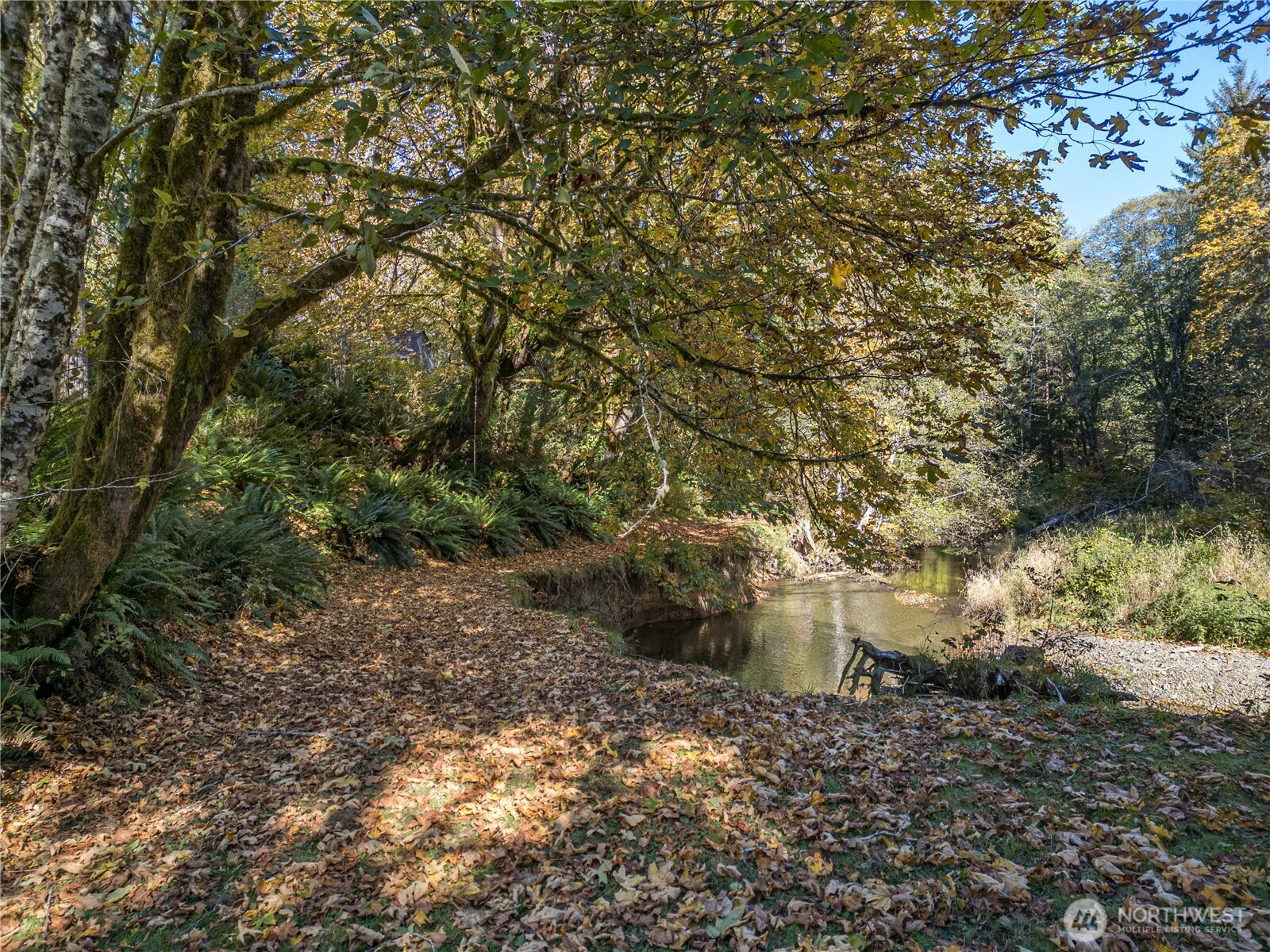 2095 Bear Creek Road Property Photo 38