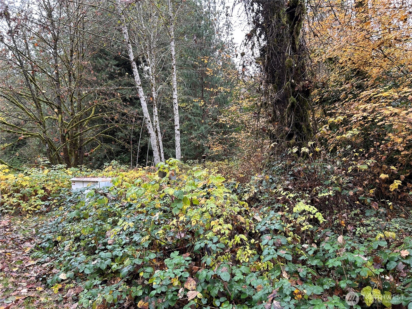 54165 Steelhead Landing Road Property Photo 1
