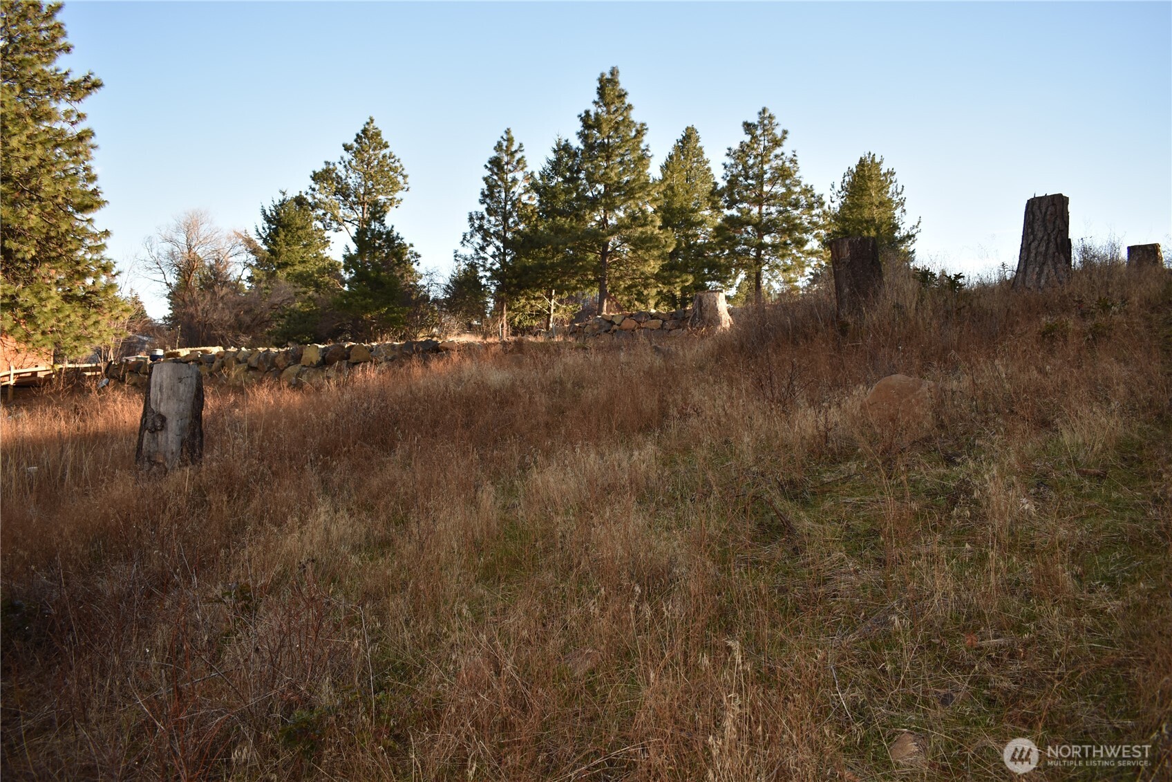241 Morrison Canyon Lane Property Photo 25