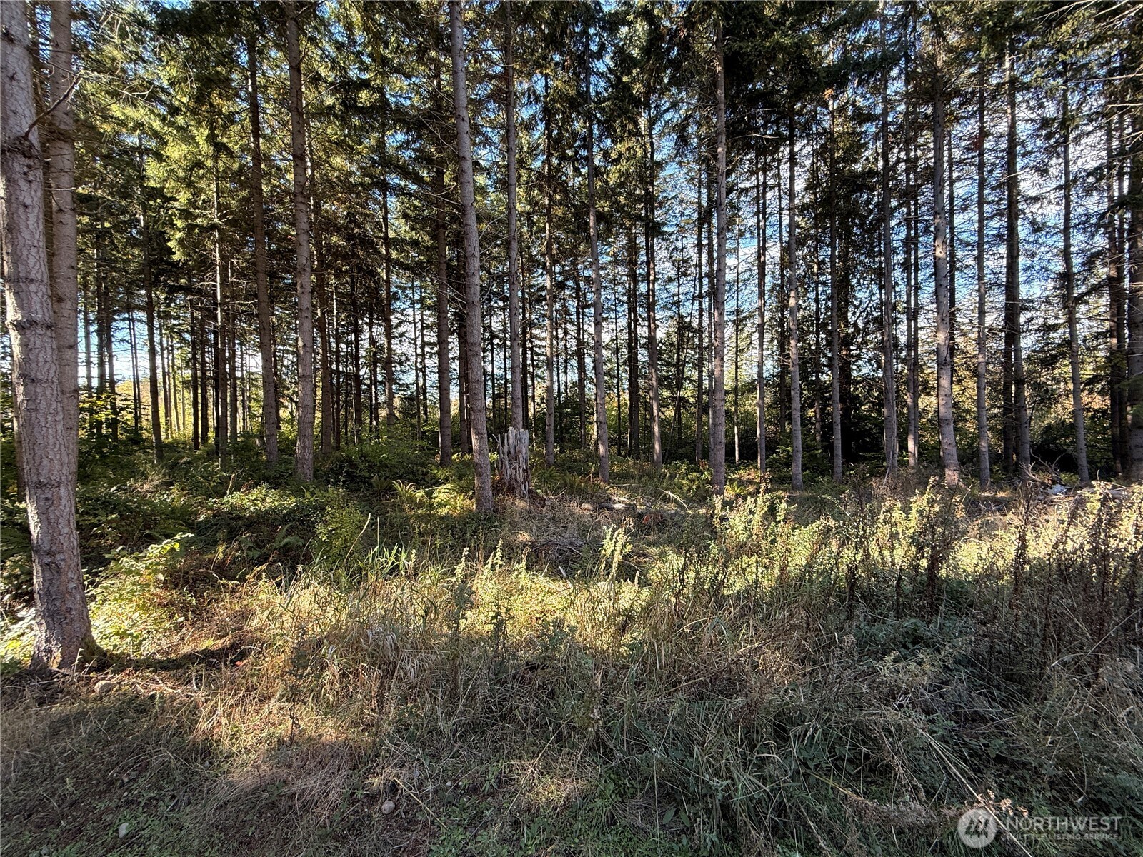 132 Xx Algyer Road Property Photo 12