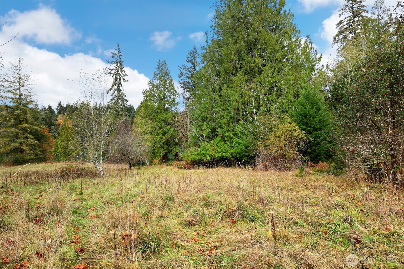 3093 Se Kamilche Point Road Property Photo 17