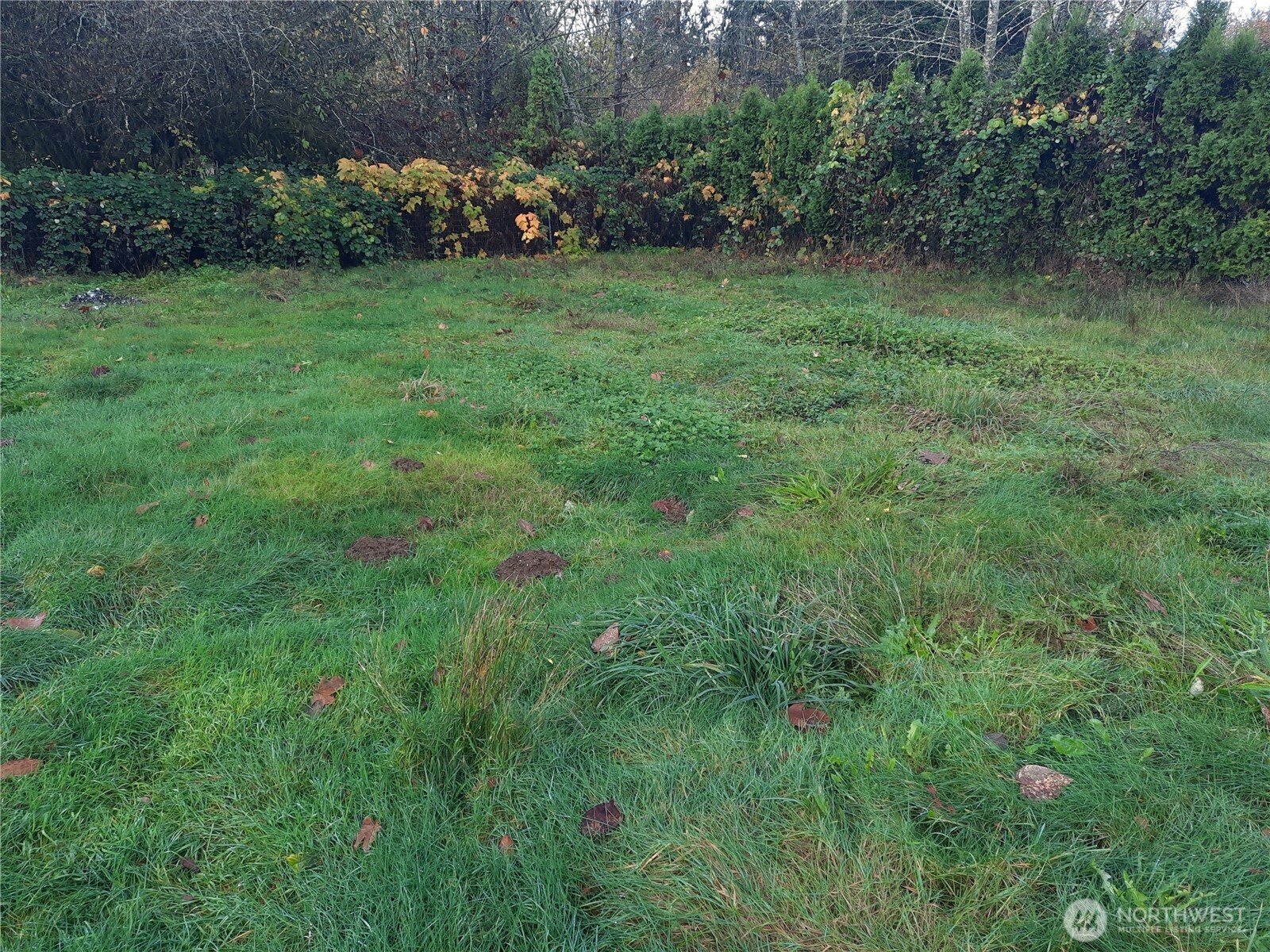 9202 Thunderbird Lane Property Photo 21