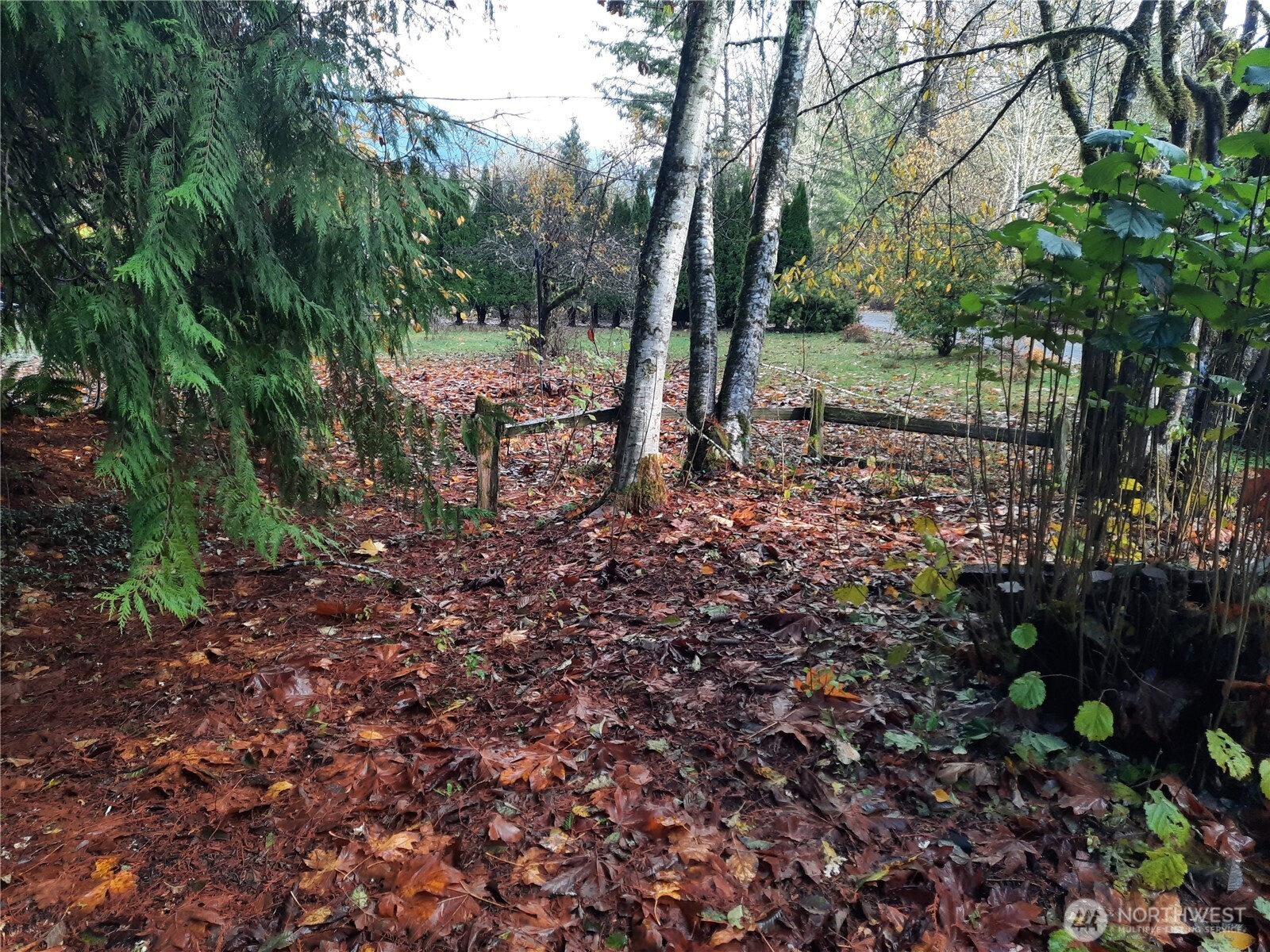 9202 Thunderbird Lane Property Photo 25