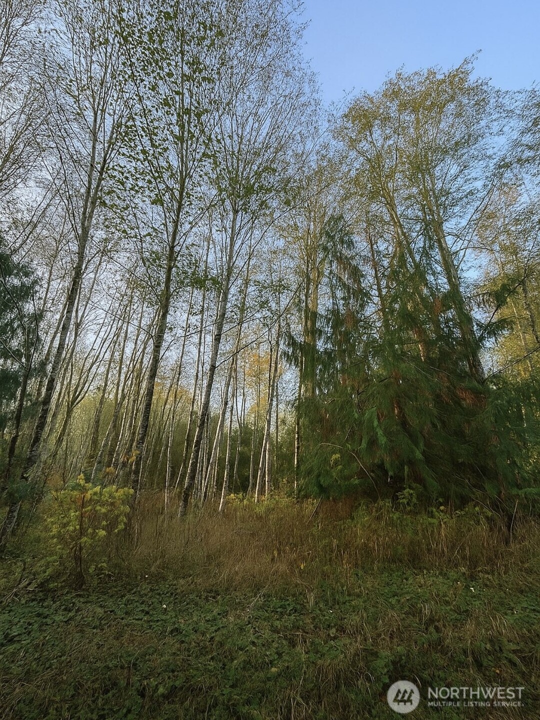 131 Chimacum Drive Property Photo 6